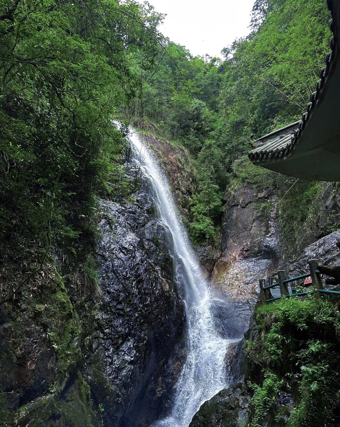 南昆山国家森林公园旅行图片 2
