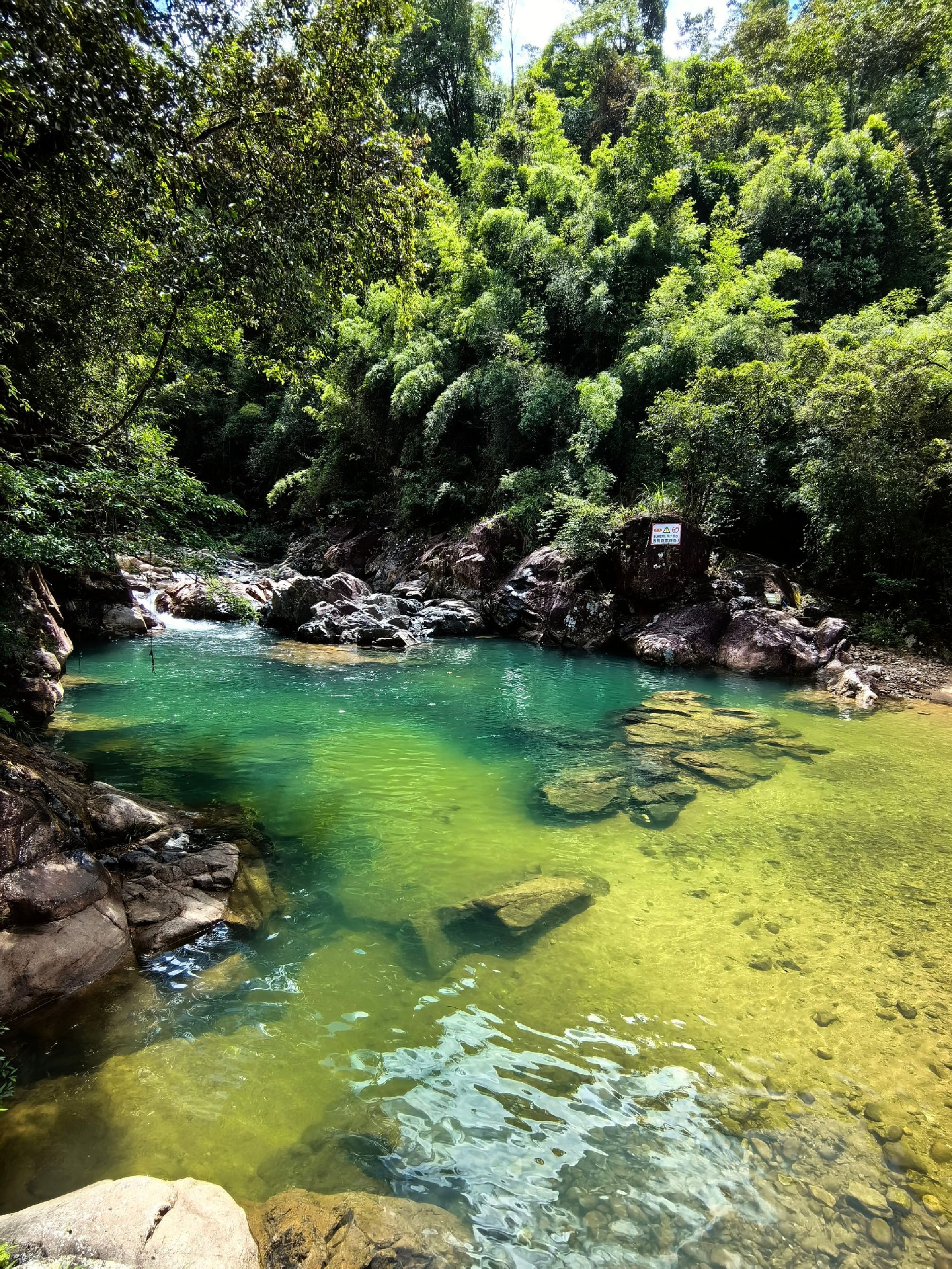 南昆山国家森林公园旅行图片 3