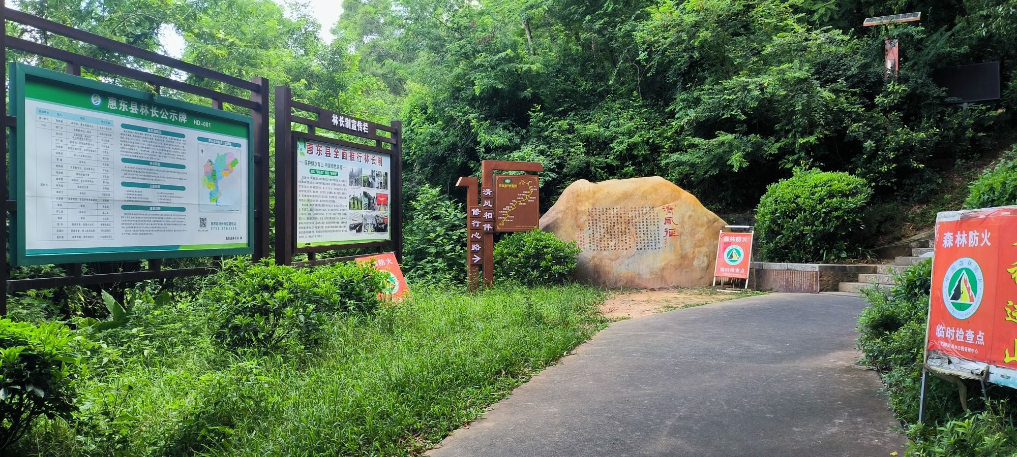 飞鹅岭森林公园旅行图片 3