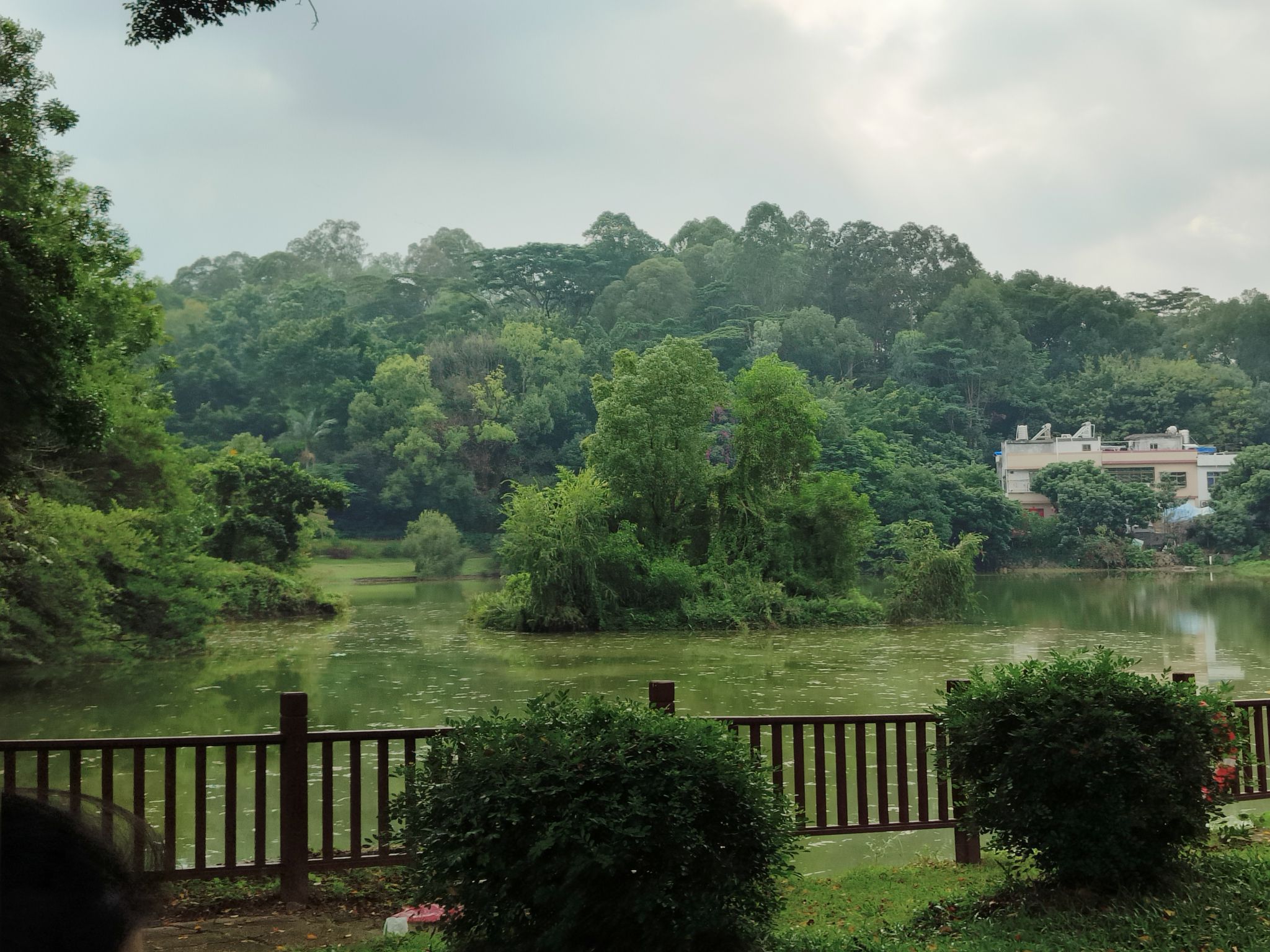 飞鹅岭森林公园旅行图片 1