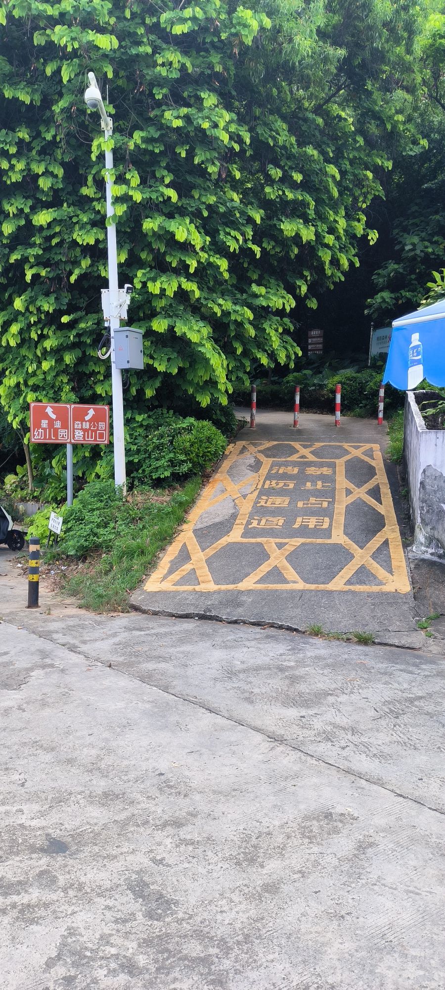 飞鹅岭森林公园旅行图片 2