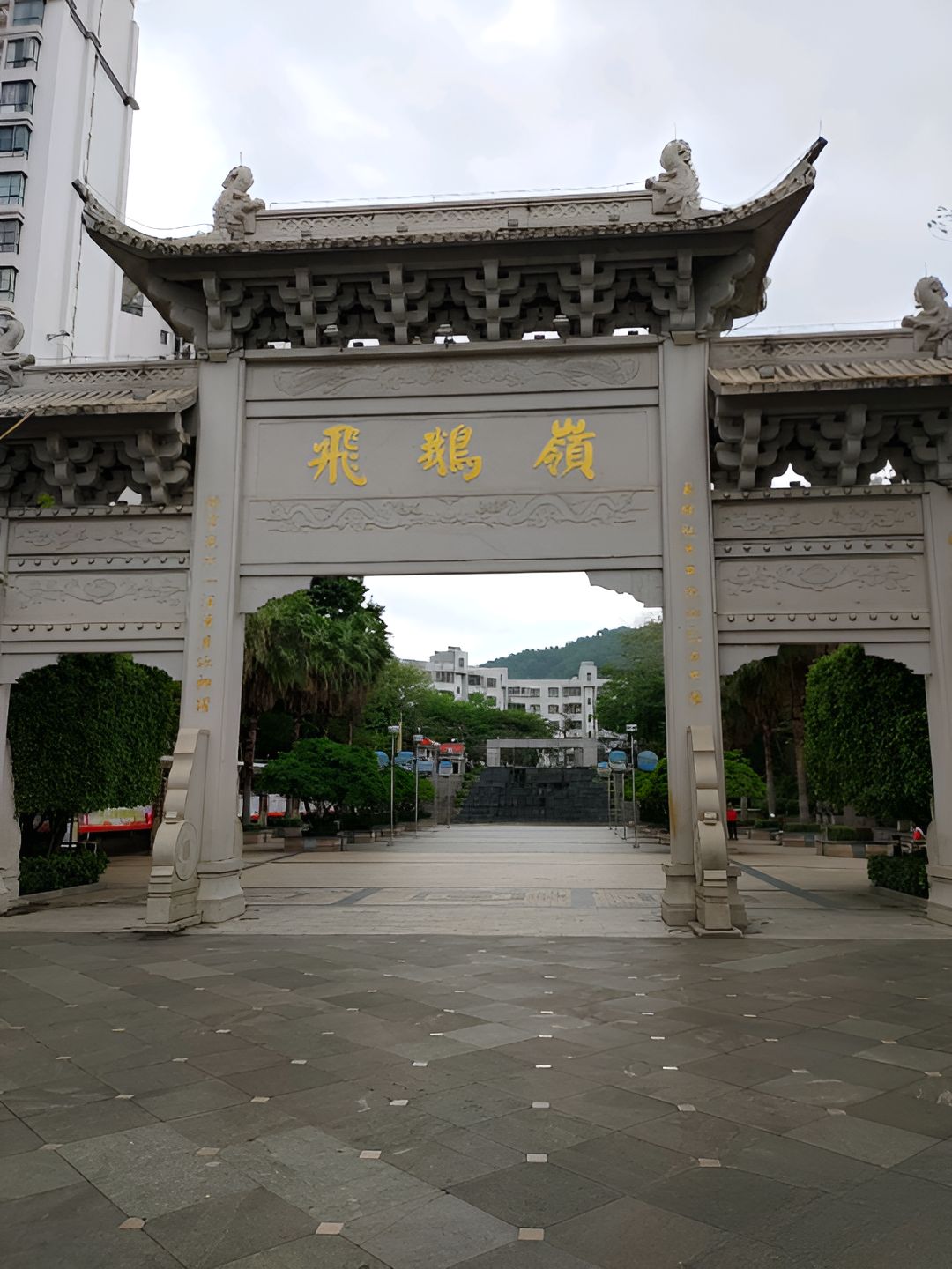 飞鹅岭森林公园旅行图片 2