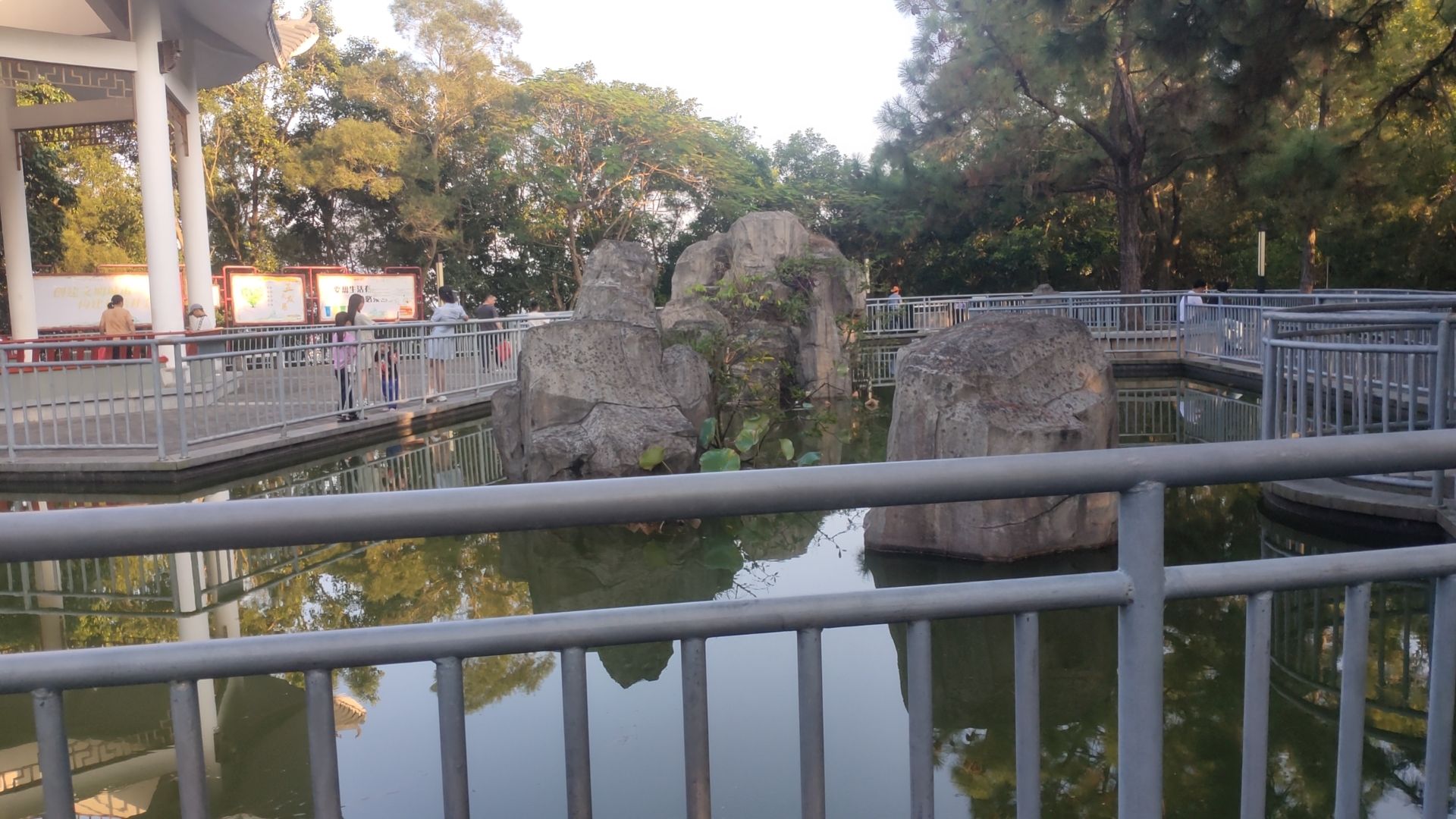 飞鹅岭森林公园旅行图片 3