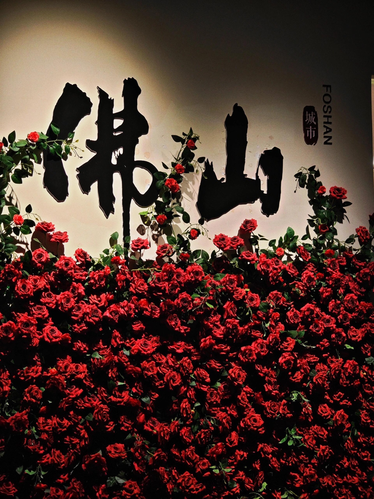 石湾公园旅行图片 1