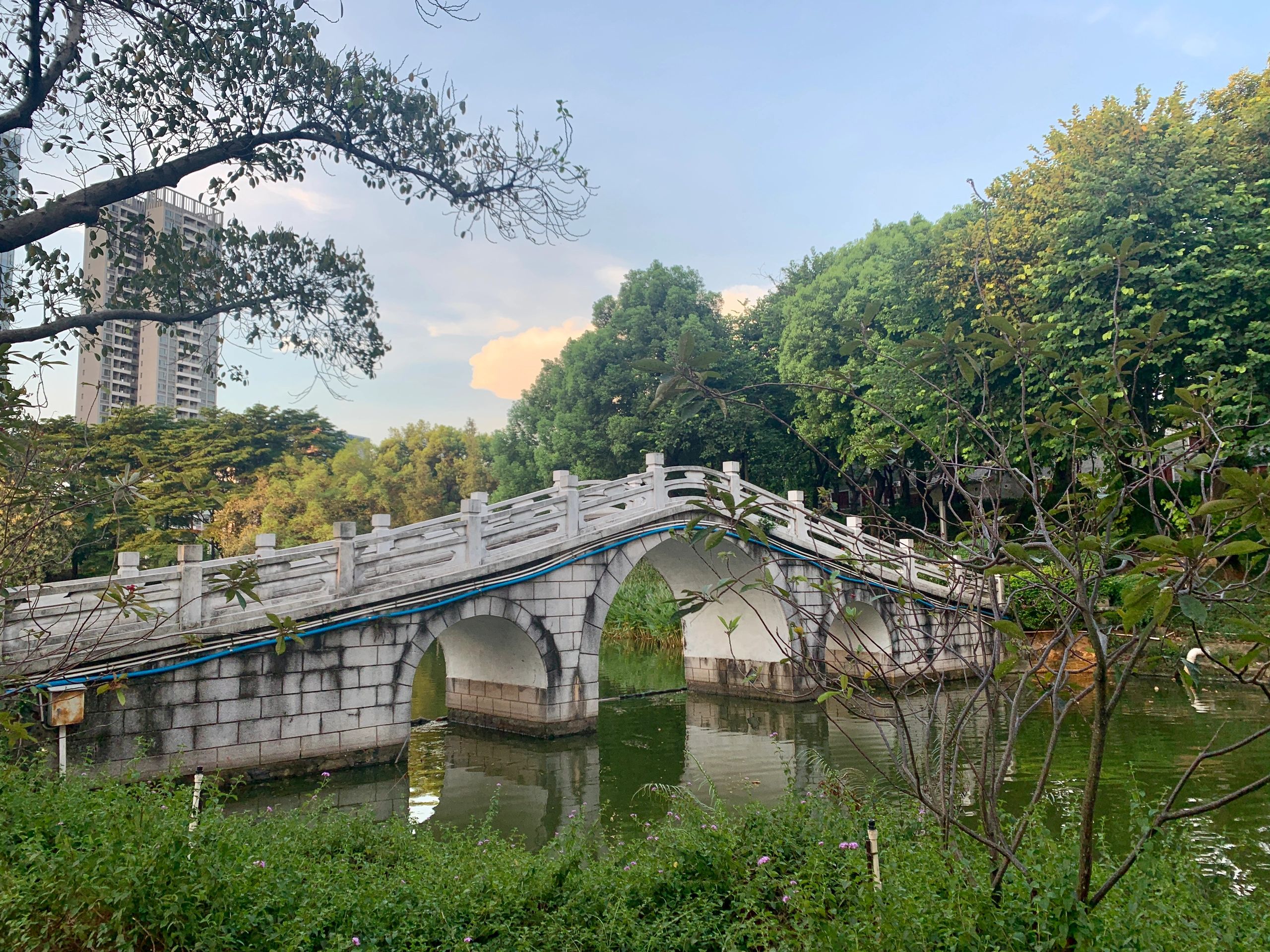 石湾公园旅行图片 1