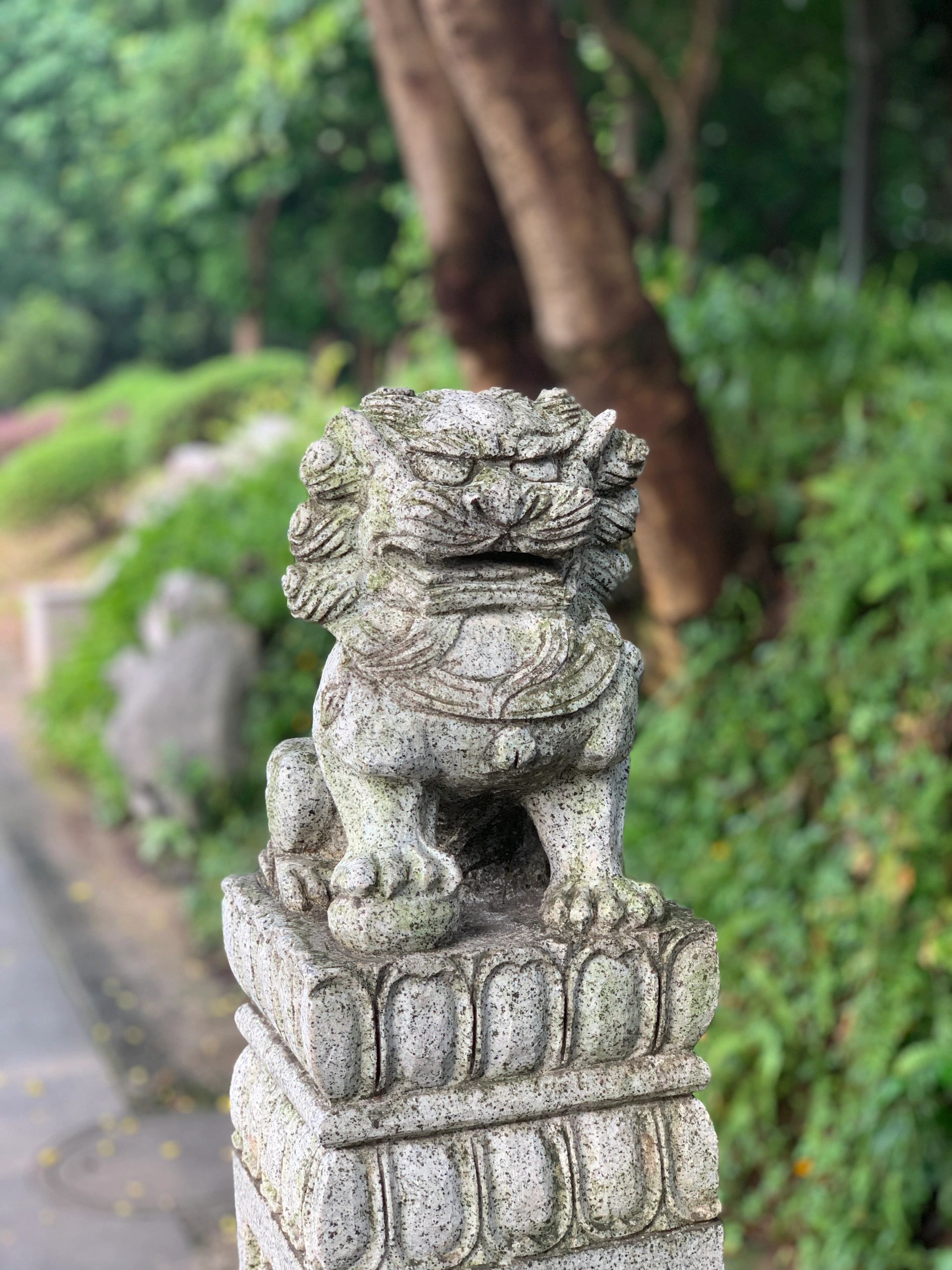 石湾公园旅行图片 3