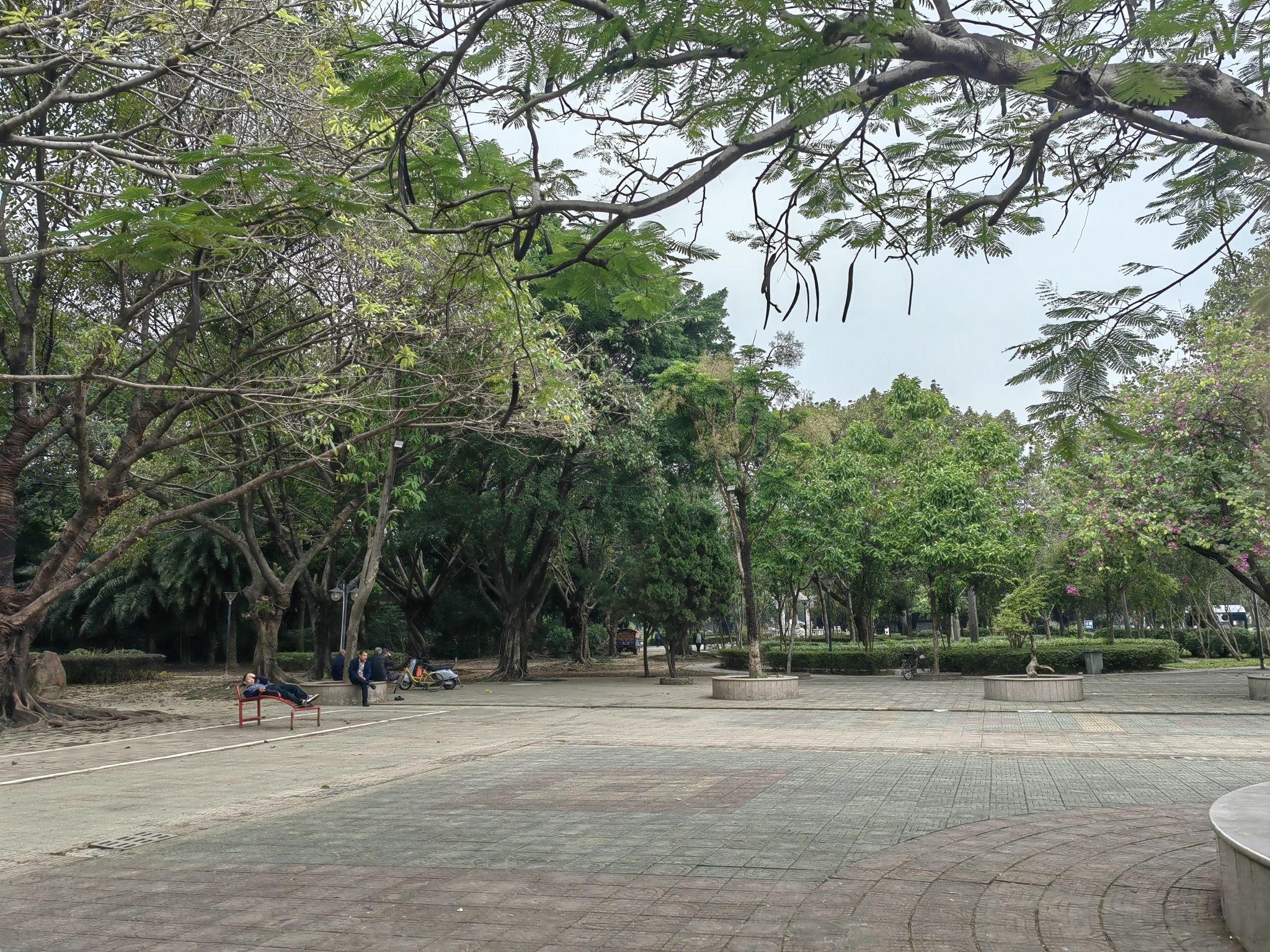 石湾公园旅行图片 1