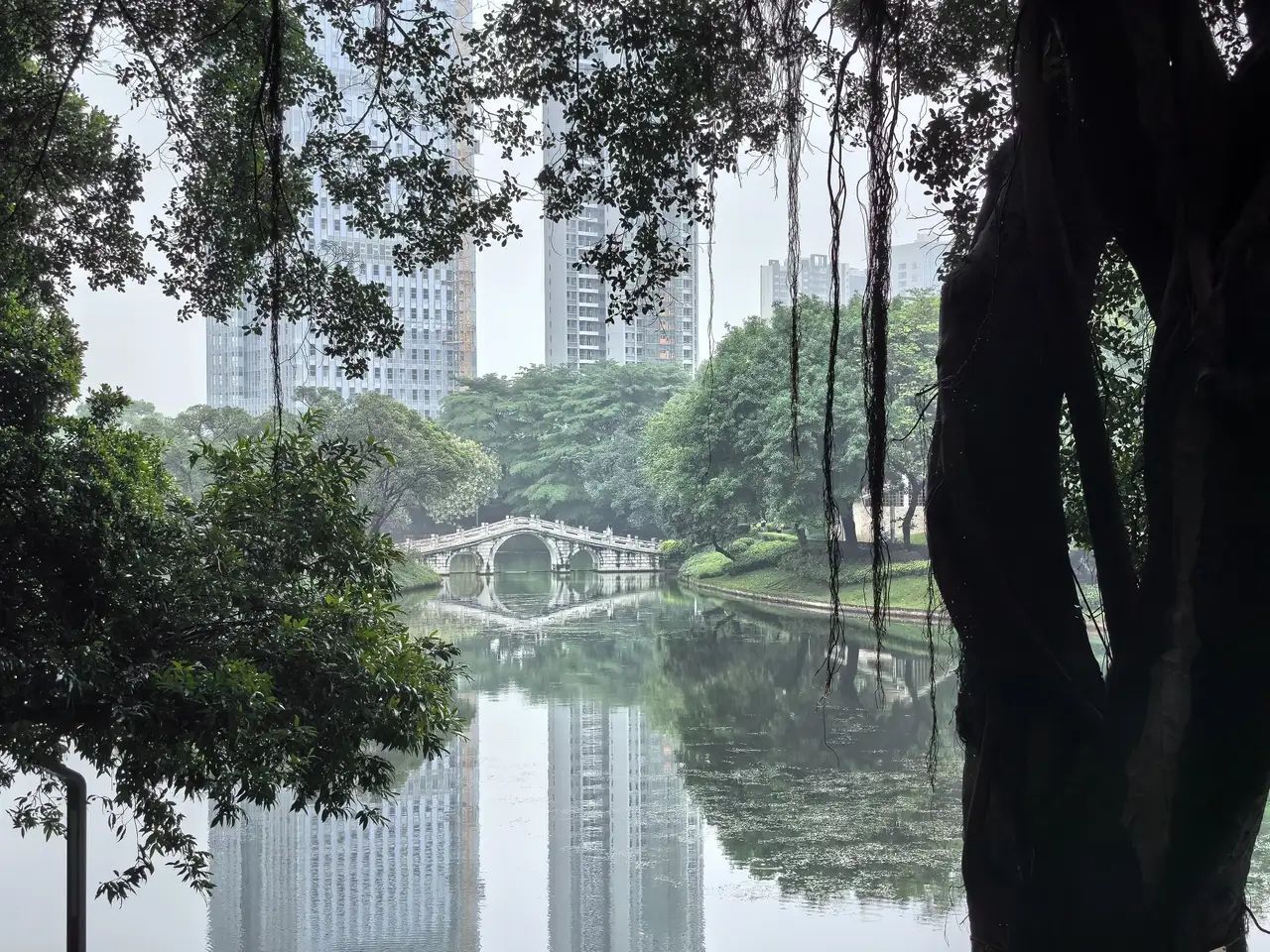 石湾公园旅行图片 3