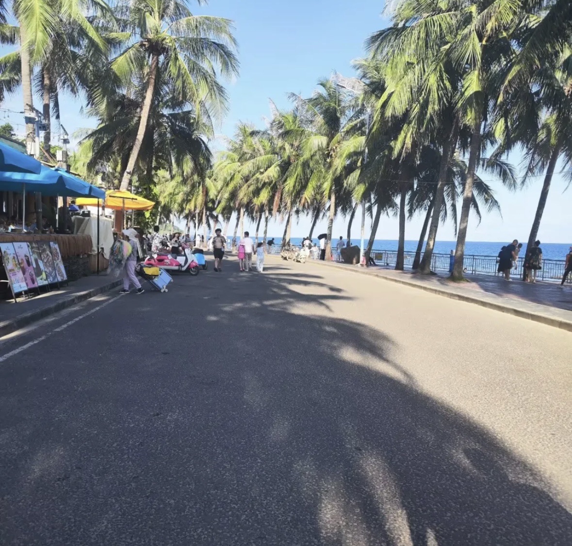 双月湾渡假村旅行图片 3