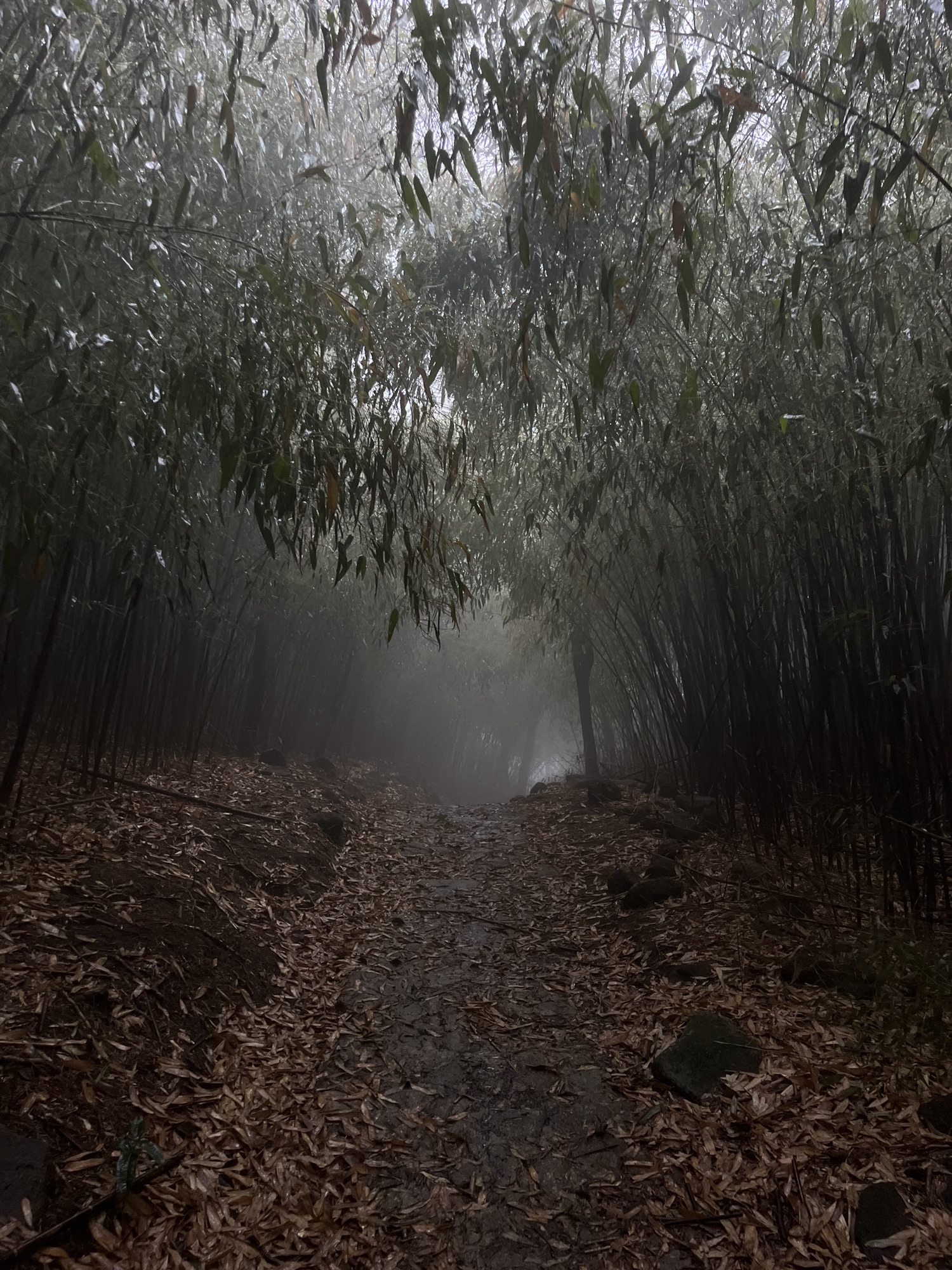 罗浮山风景名胜区旅行图片 3