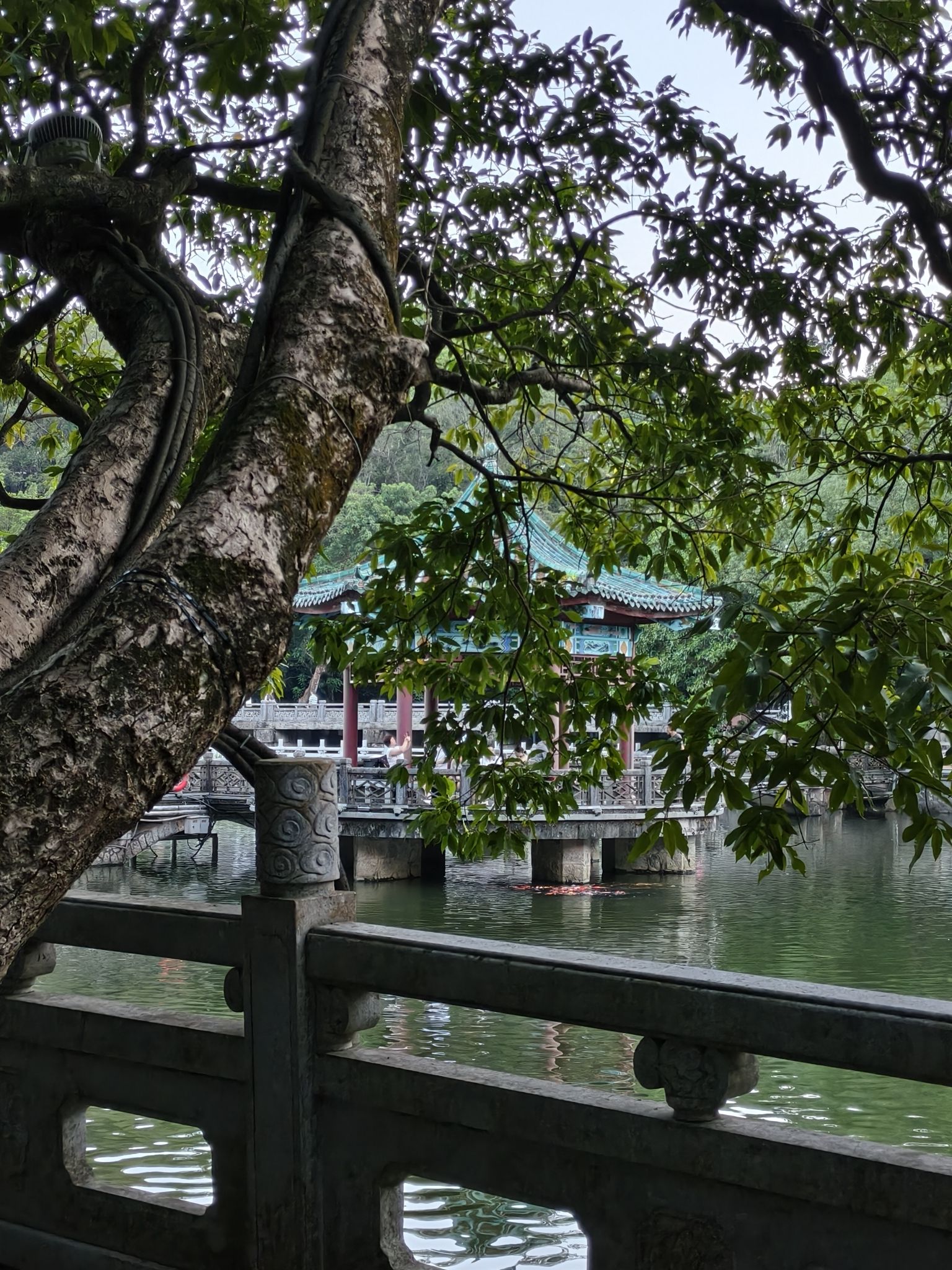 罗浮山风景名胜区旅行图片 1