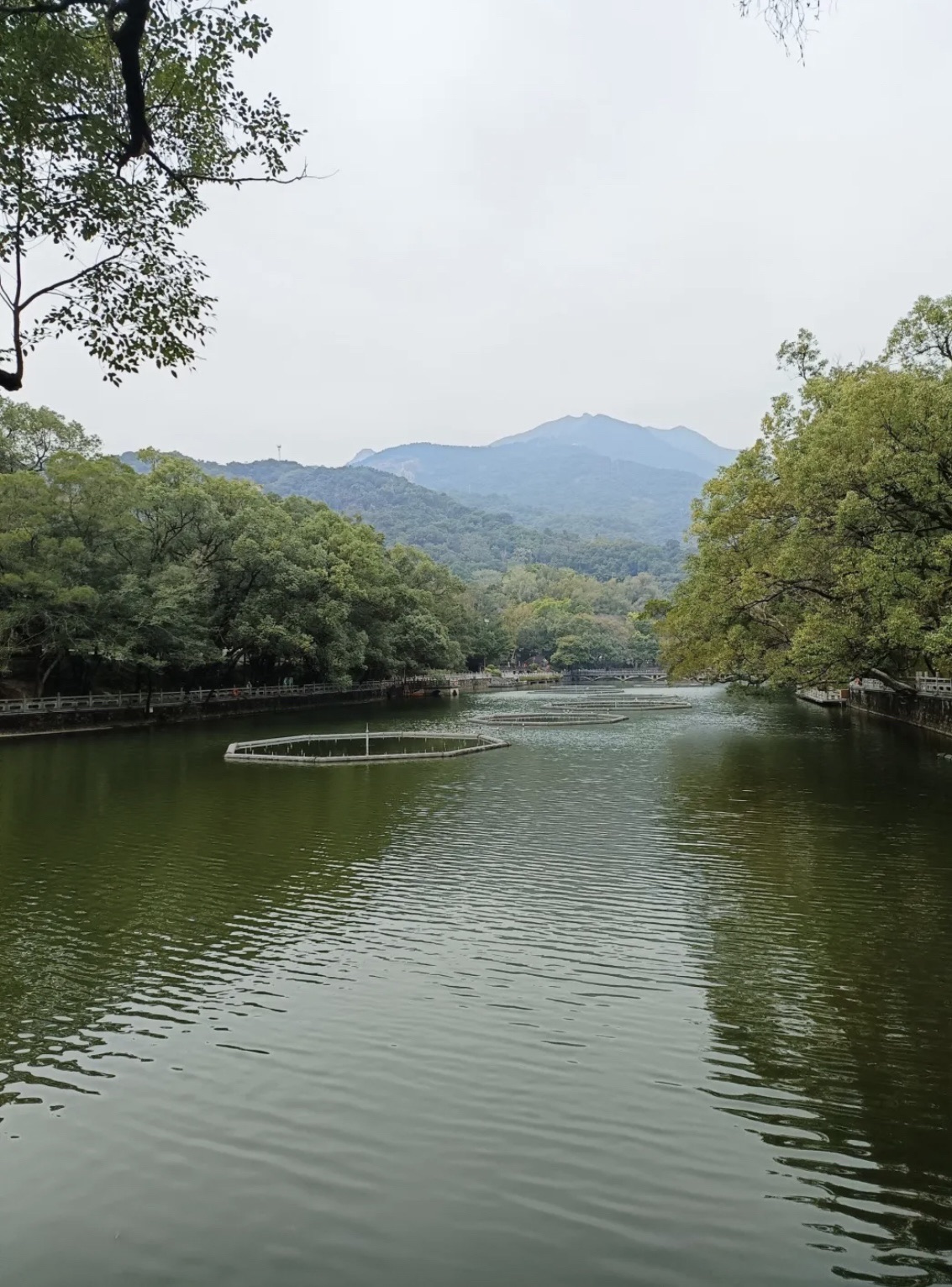 罗浮山风景名胜区旅行图片 3