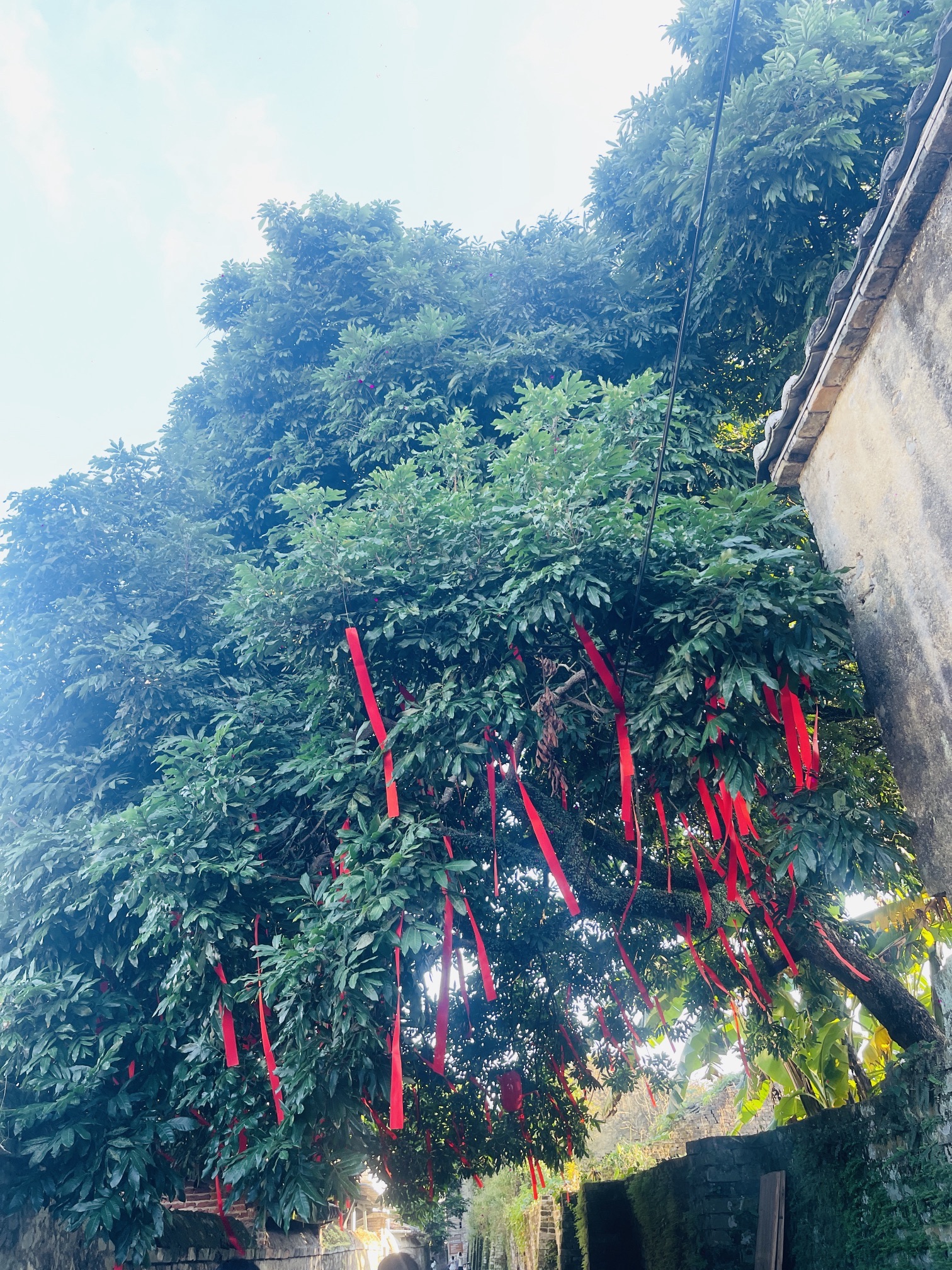 香溪堡旅行图片 2