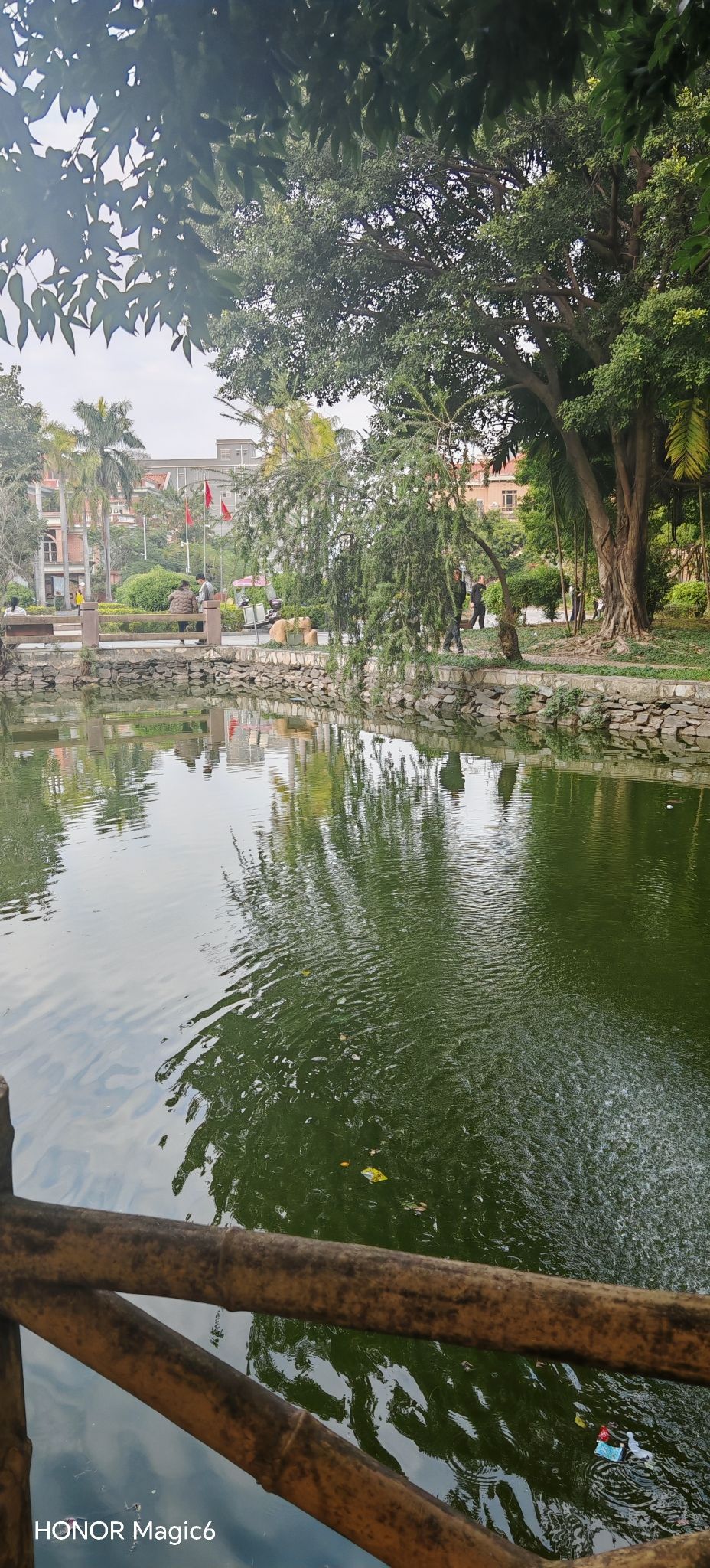 上南公园旅行图片 2
