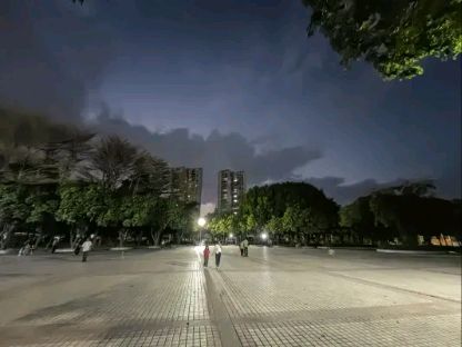 上南公园旅行图片 1