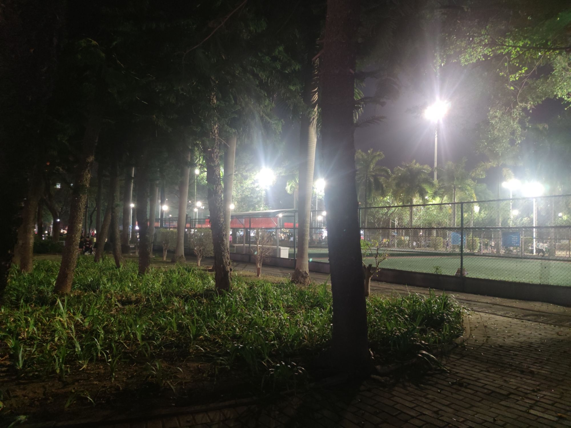 博罗县城文化广场旅行图片 1