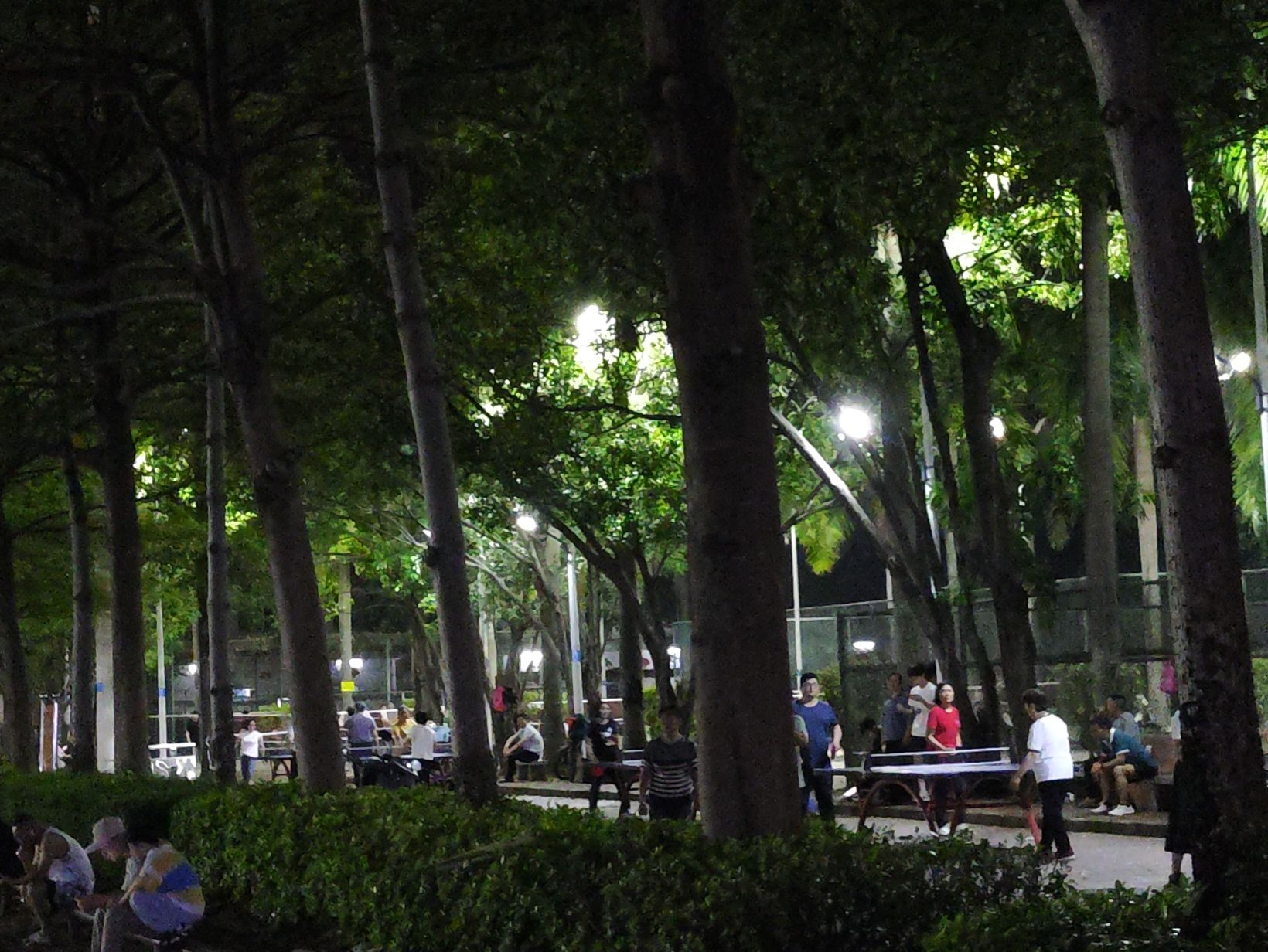 博罗县城文化广场旅行图片 2