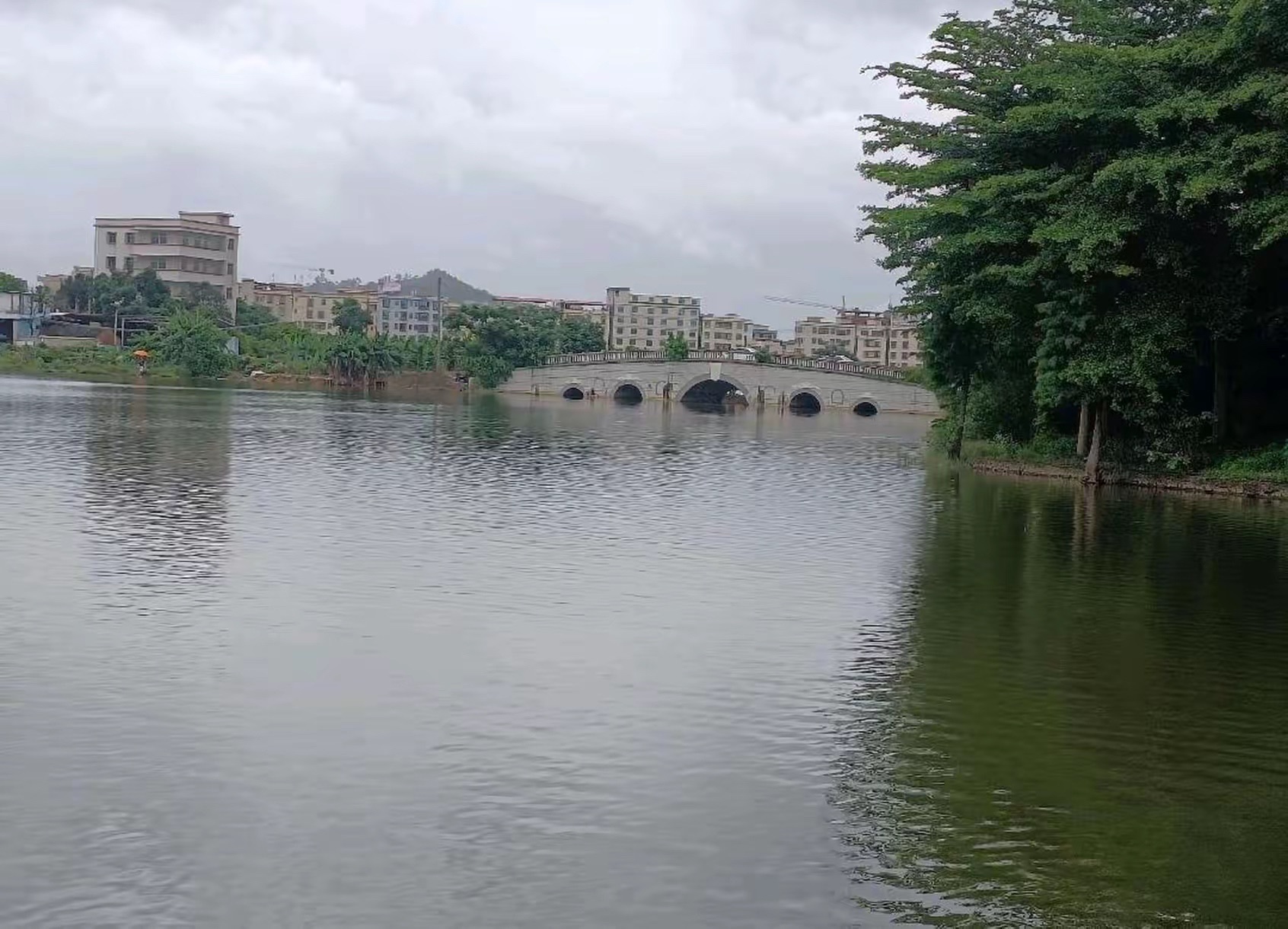 湖滨公园旅行图片 3