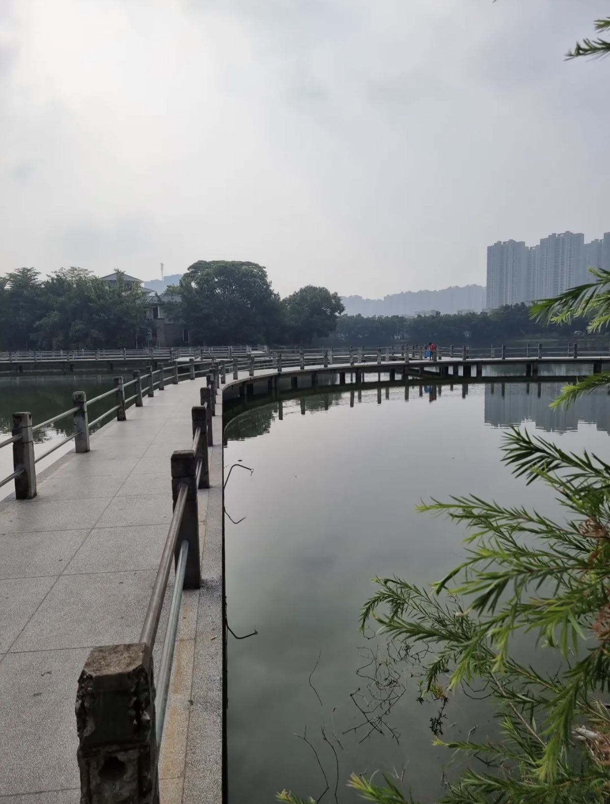 湖滨公园旅行图片 2