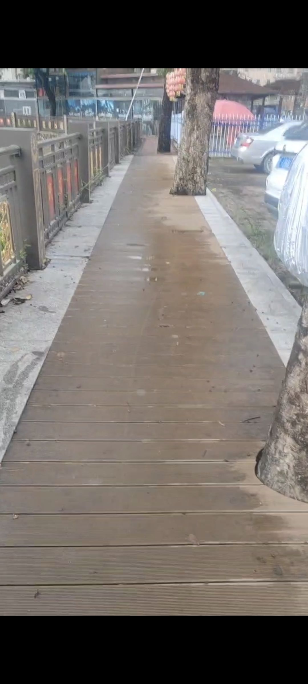 湖滨公园旅行图片 2
