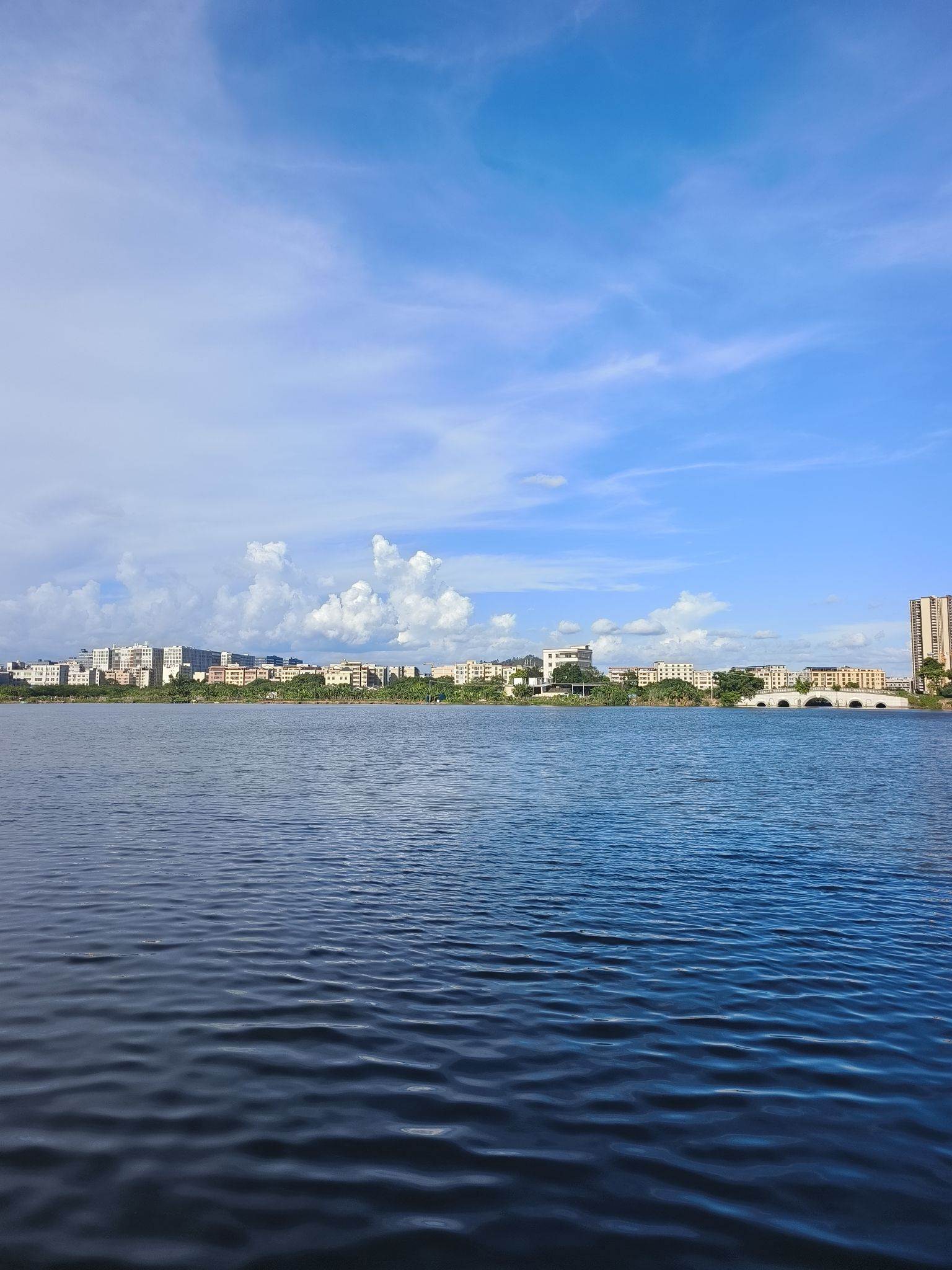 湖滨公园旅行图片 3