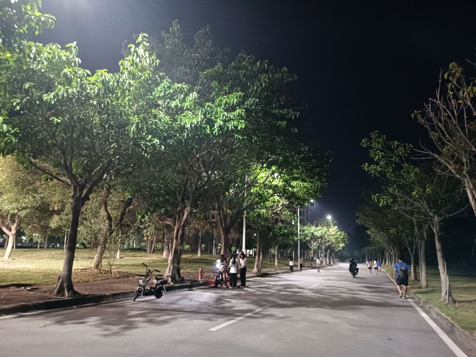 东较文化广场旅行图片 1