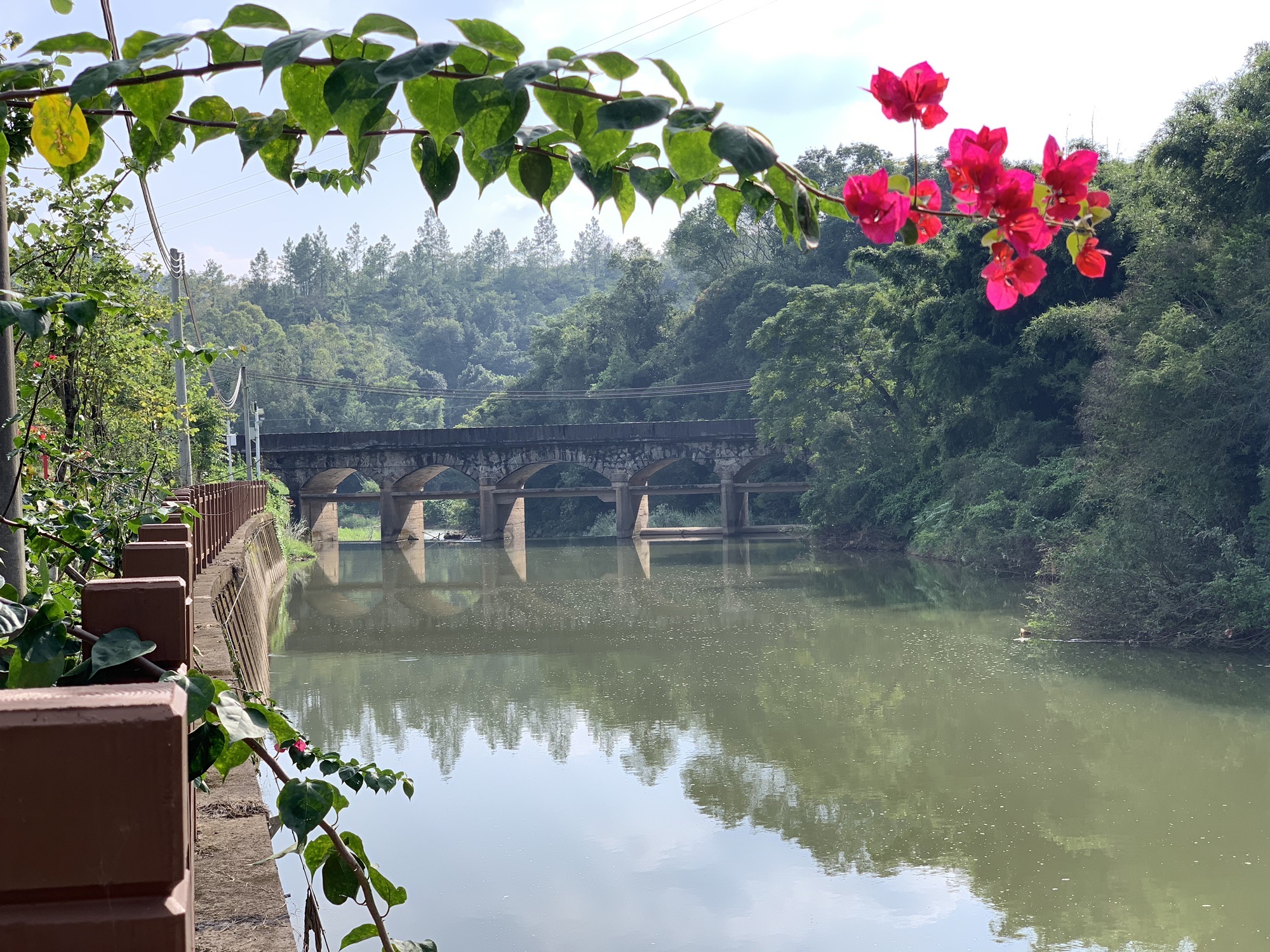 粤赣湘边纵队纪念公园旅行图片 3