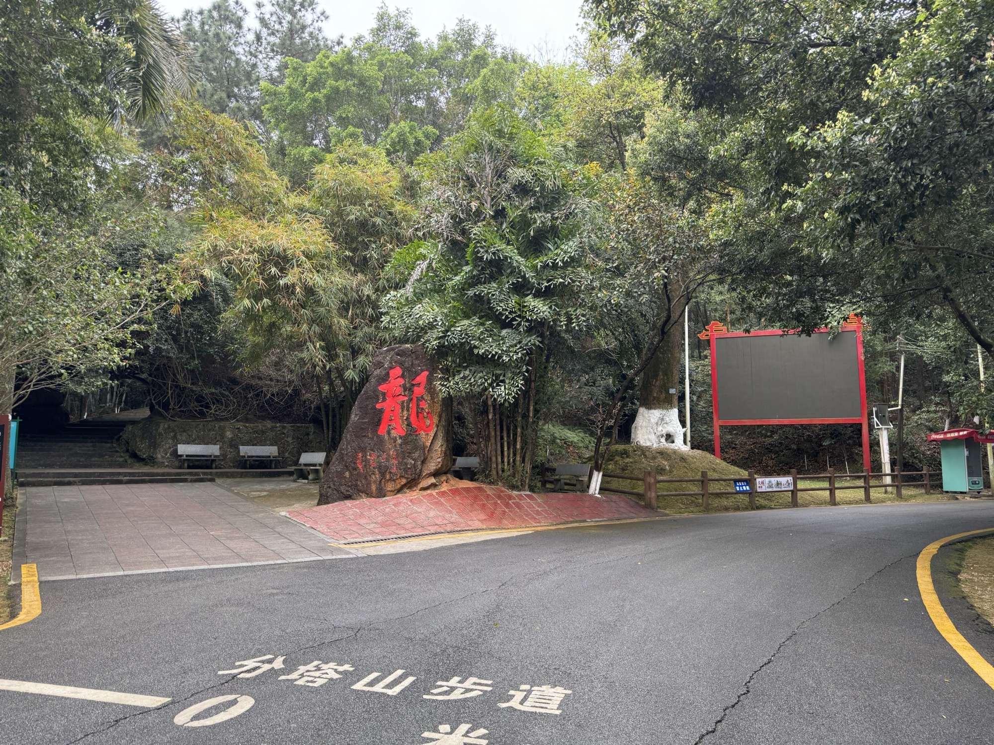 龙门县分塔山省级森林公园旅行图片 1