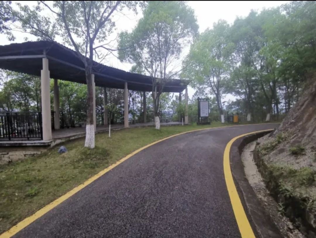 龙门县分塔山省级森林公园旅行图片 3