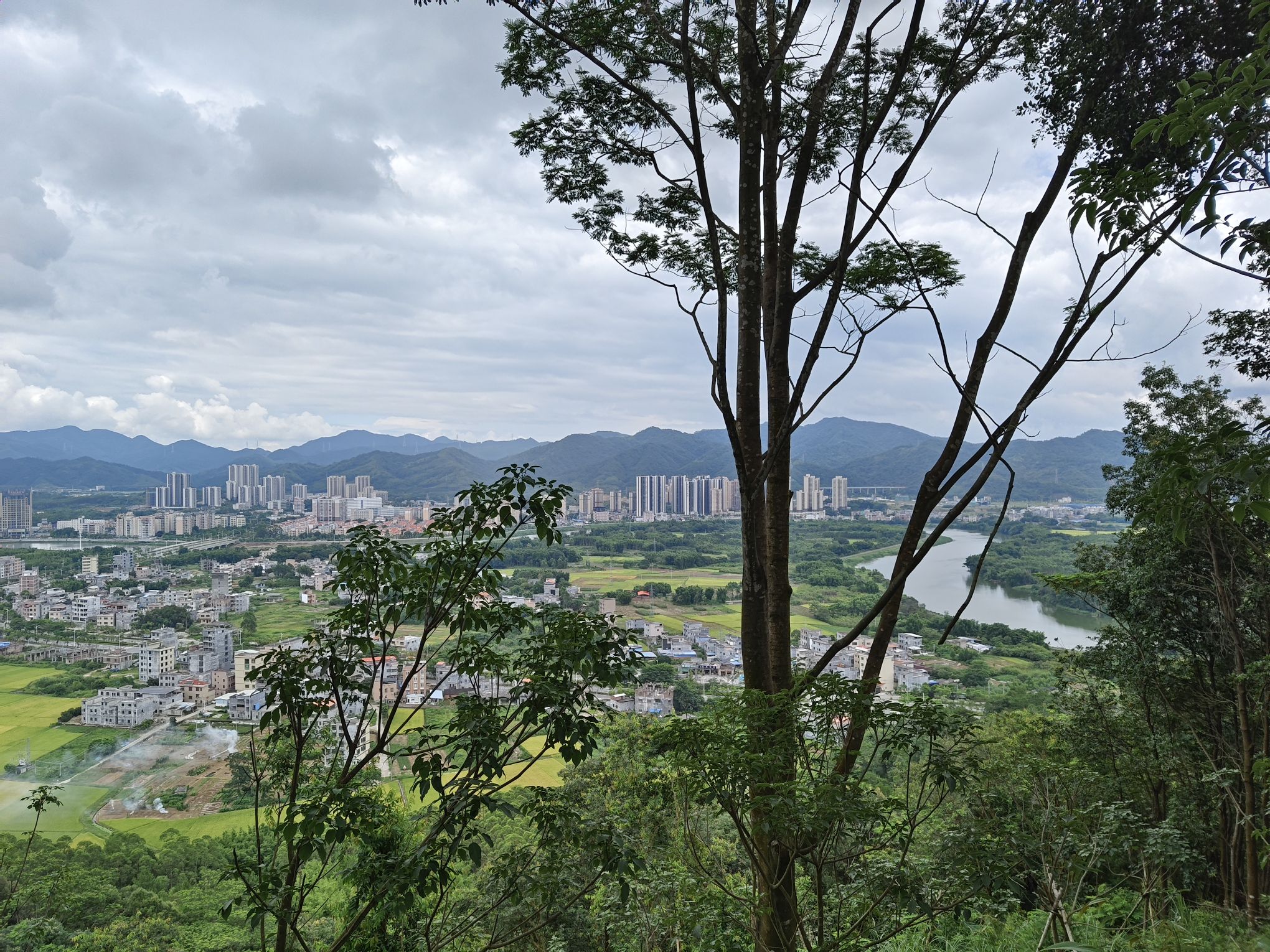 龙门县分塔山省级森林公园旅行图片 2