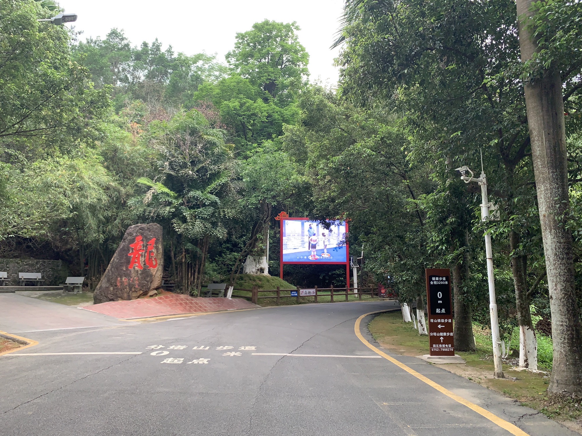 龙门县分塔山省级森林公园旅行图片 3