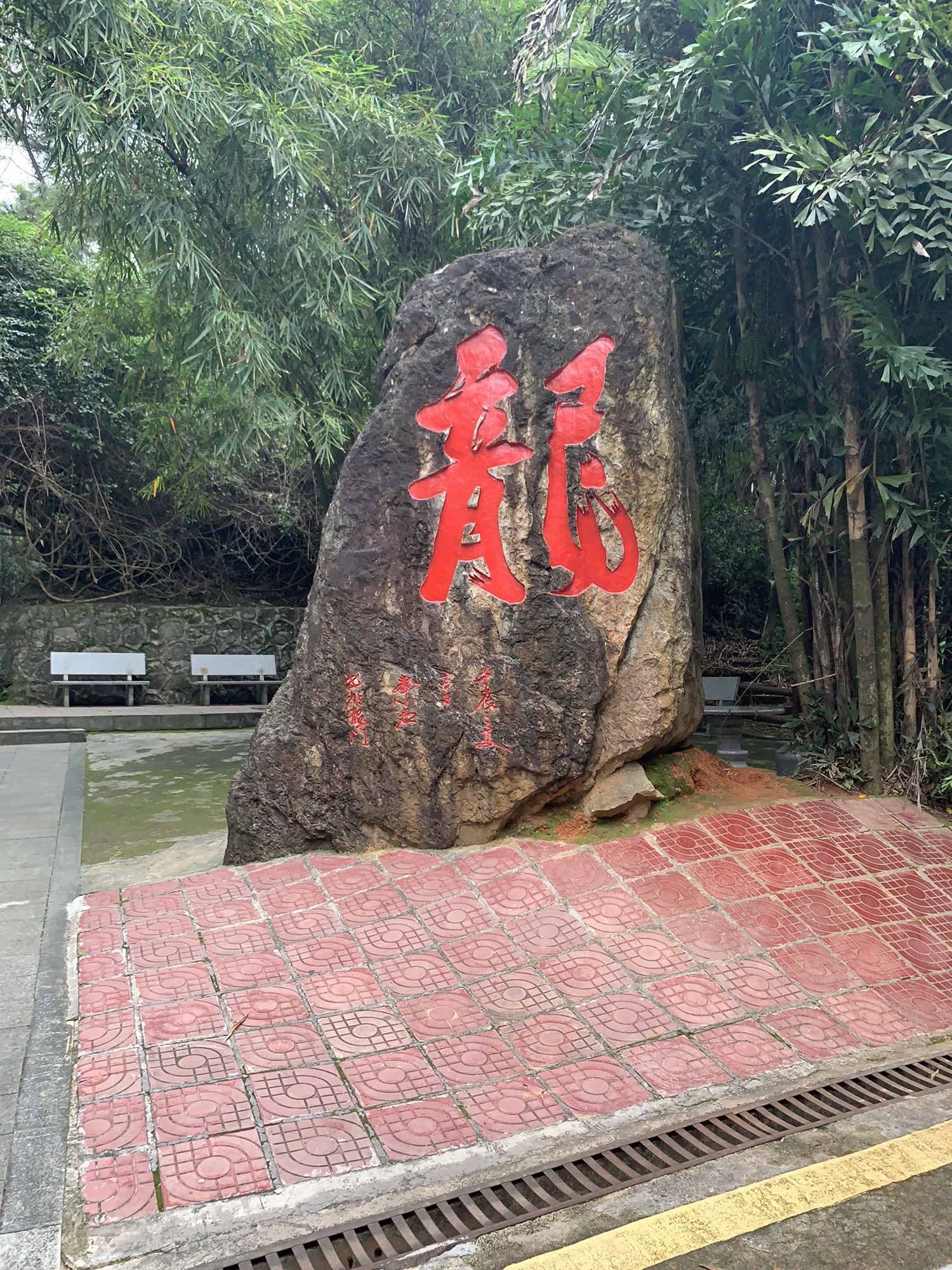 龙门县分塔山省级森林公园旅行图片 2