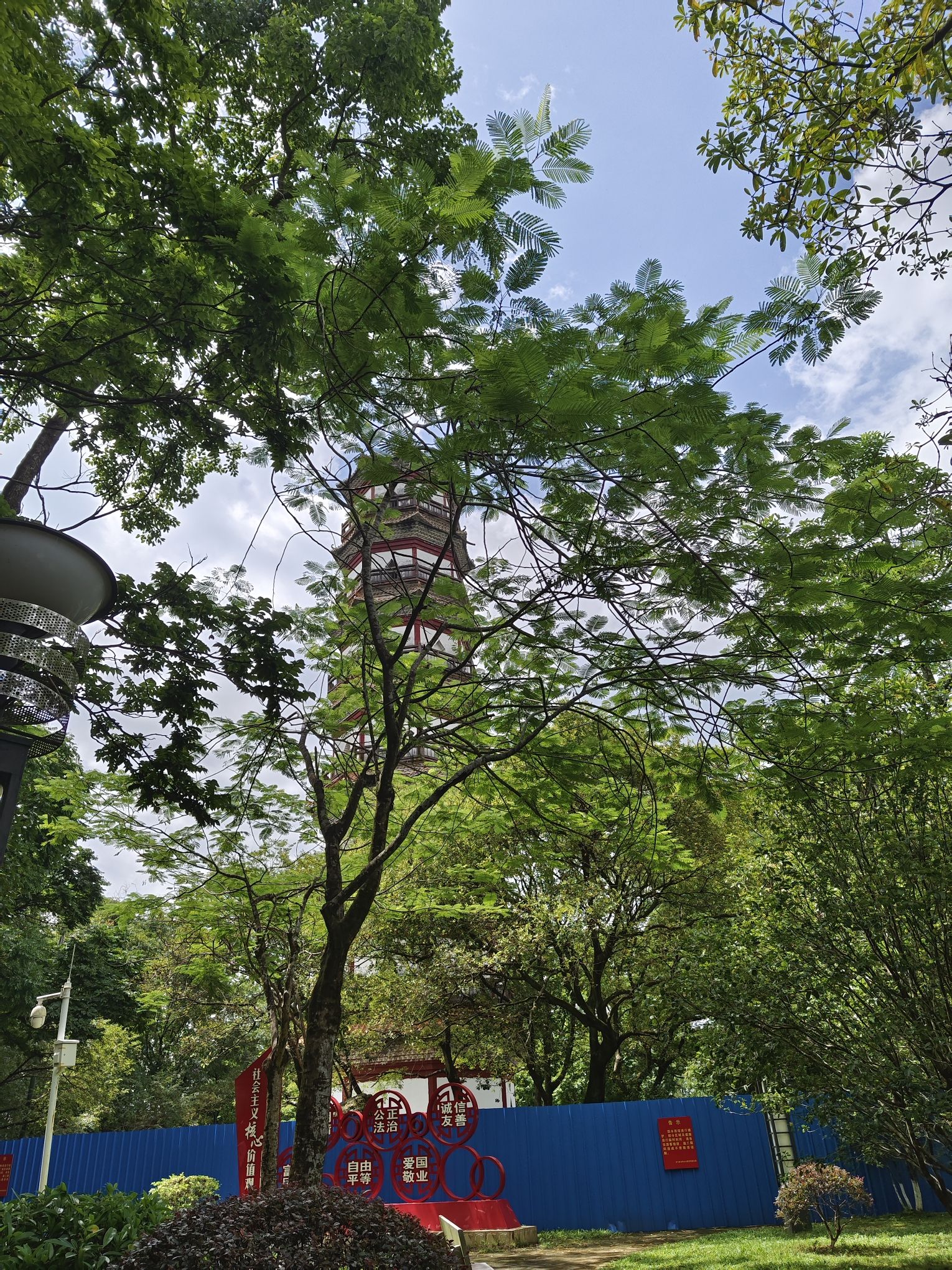 龙门县分塔山省级森林公园旅行图片 1