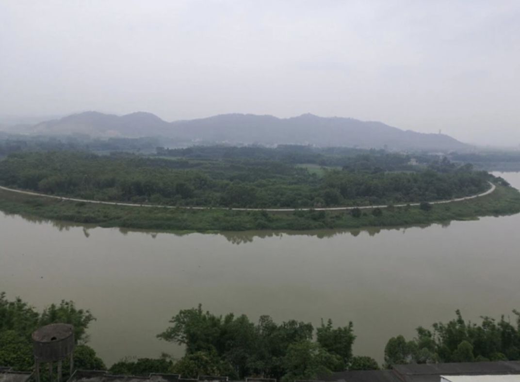 龙门县分塔山省级森林公园旅行图片 1