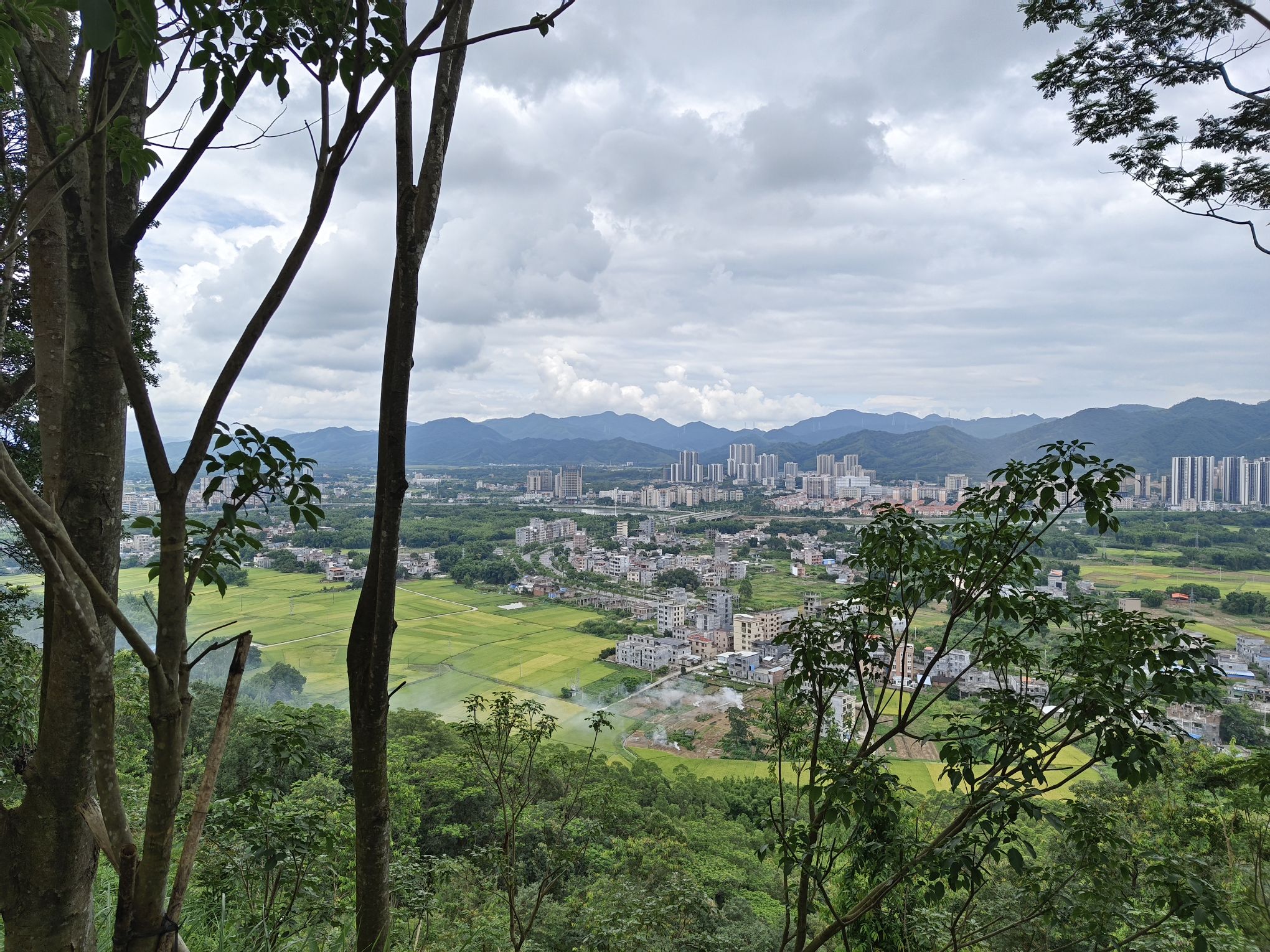 龙门县分塔山省级森林公园旅行图片 3