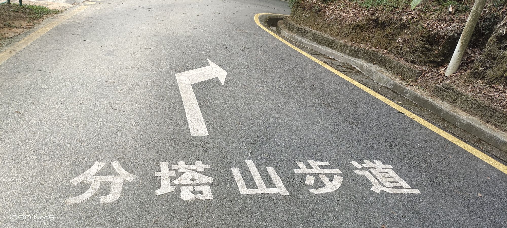 龙门县分塔山省级森林公园旅行图片 2