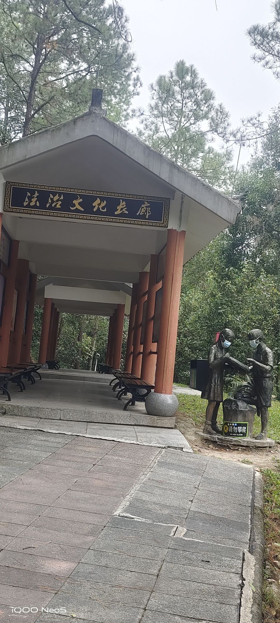 龙门县分塔山省级森林公园旅行图片 1