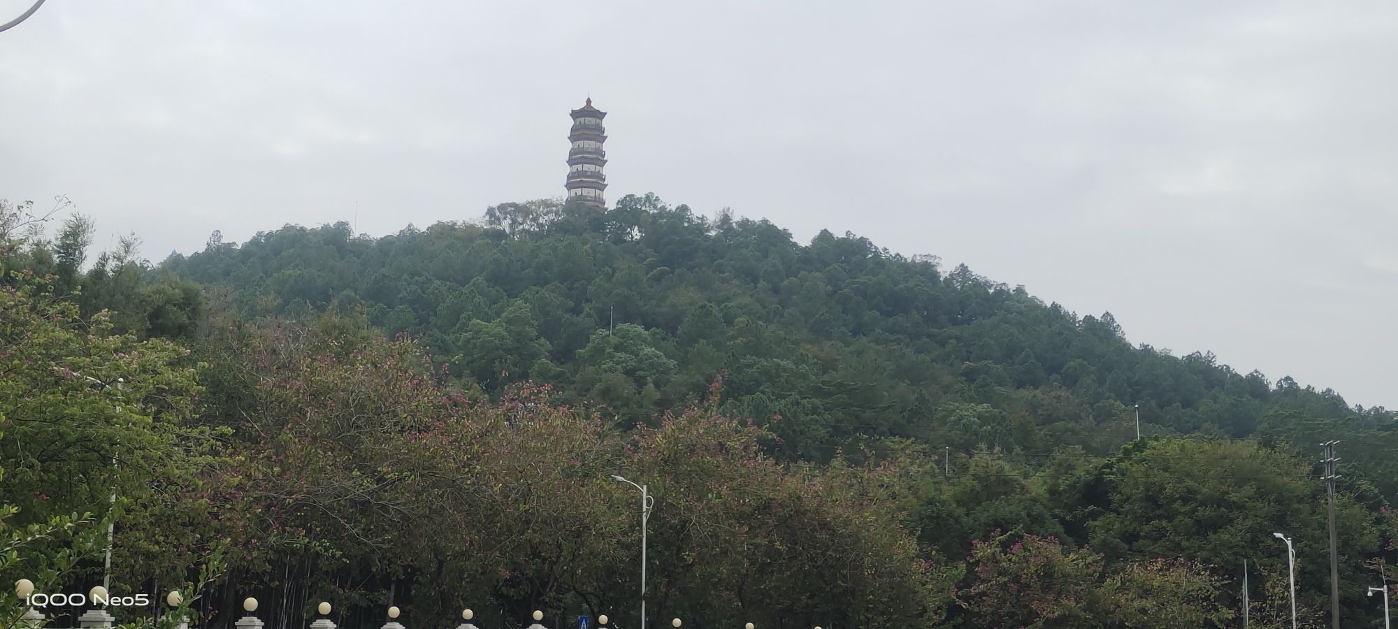 龙门县分塔山省级森林公园旅行图片 3