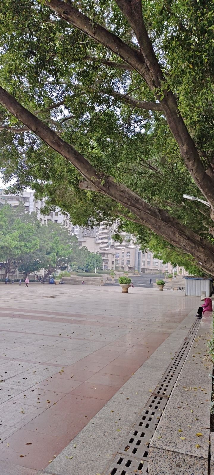 下埔滨江公园旅行图片 1