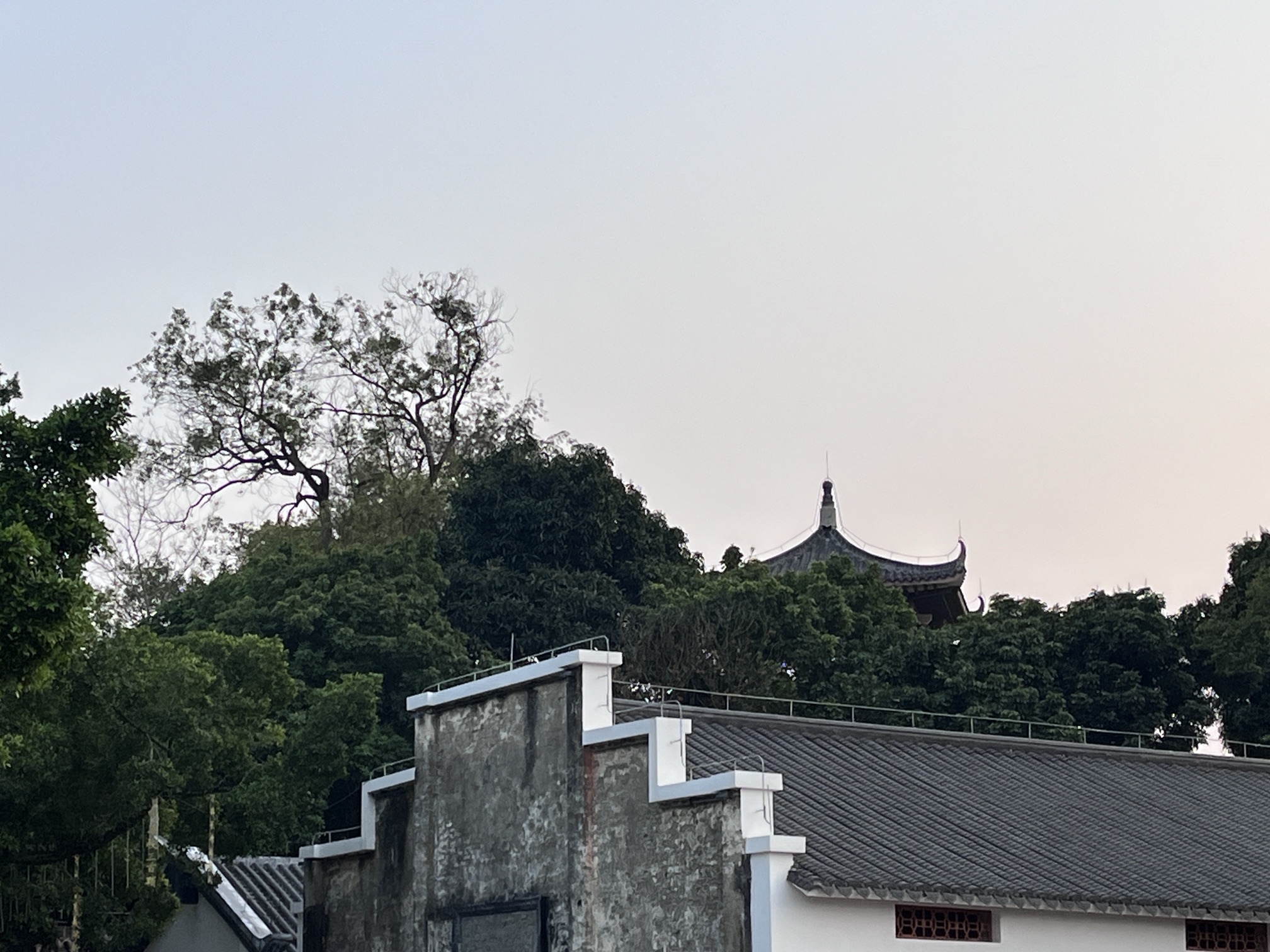 东江公园旅行图片 2