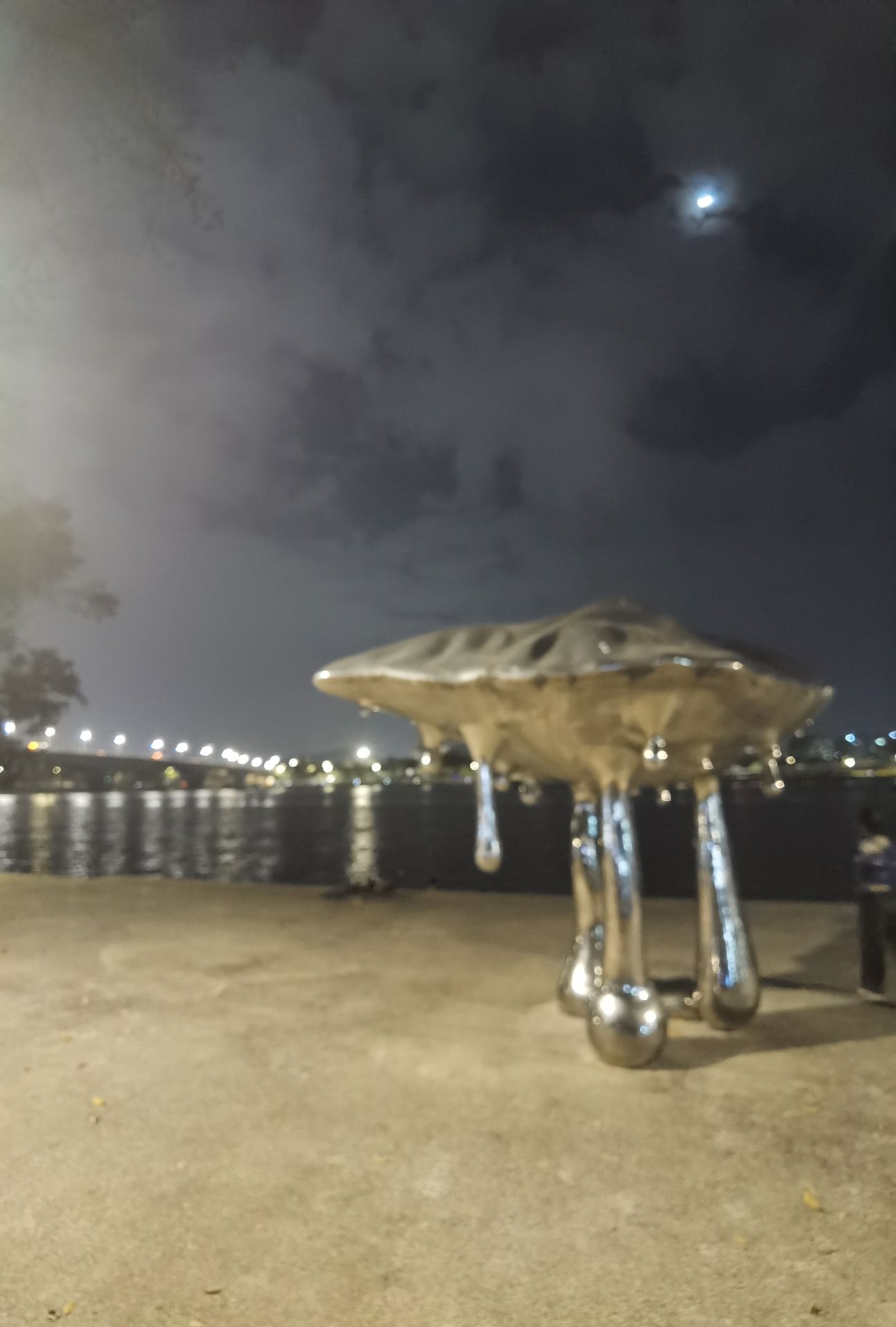 东江公园旅行图片 3