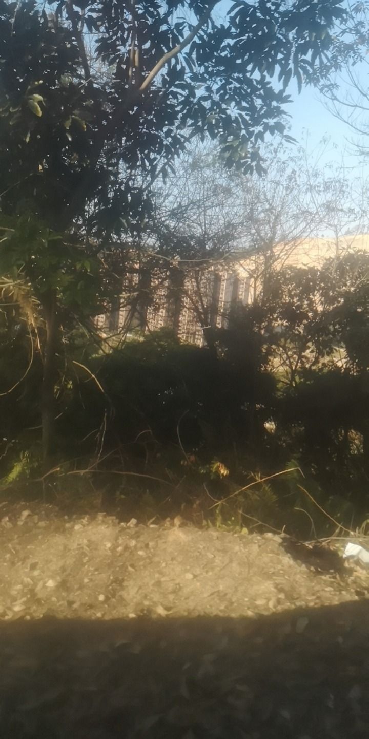 狮朝洞旅行图片 1