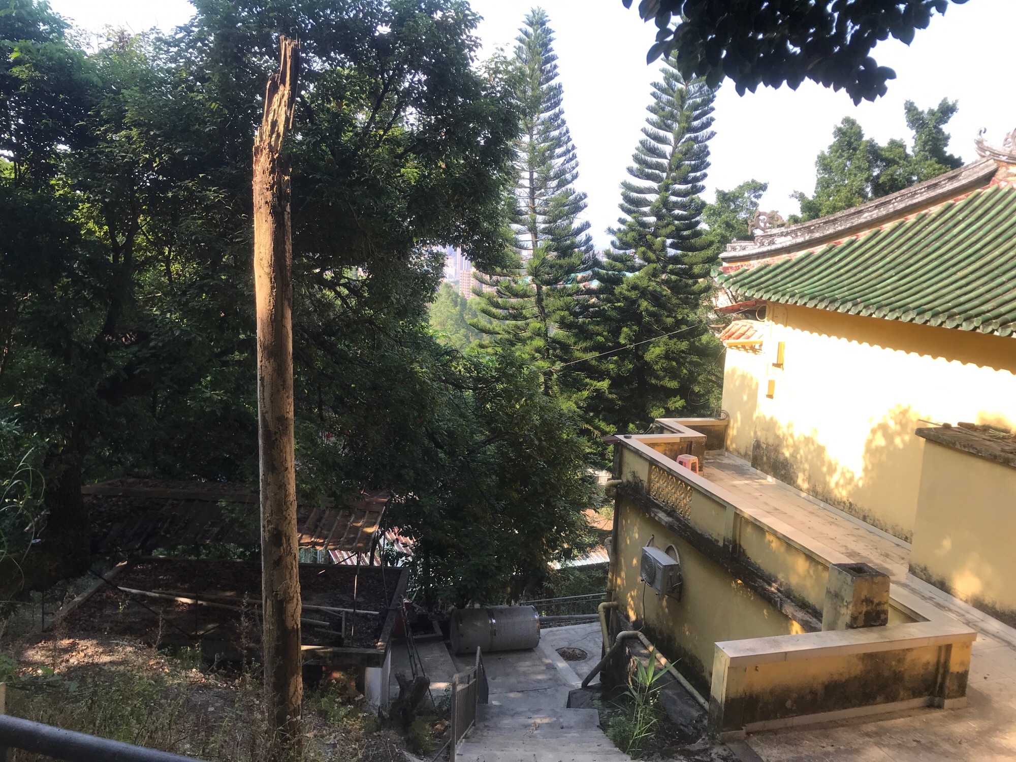 狮朝洞旅行图片 3