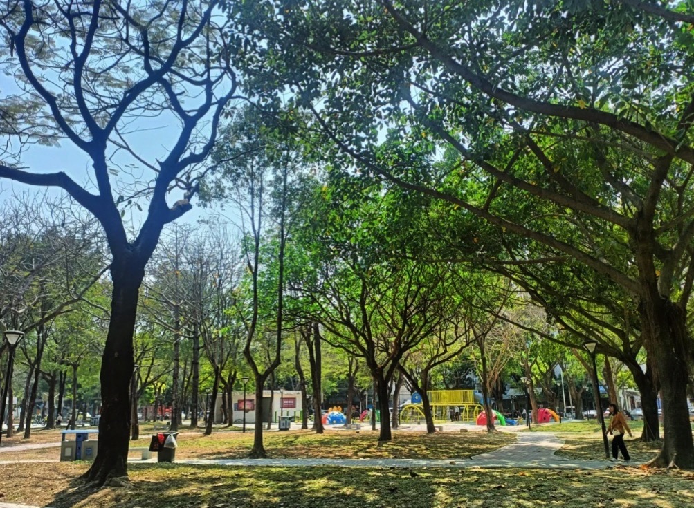 河南岸公园旅行图片 2
