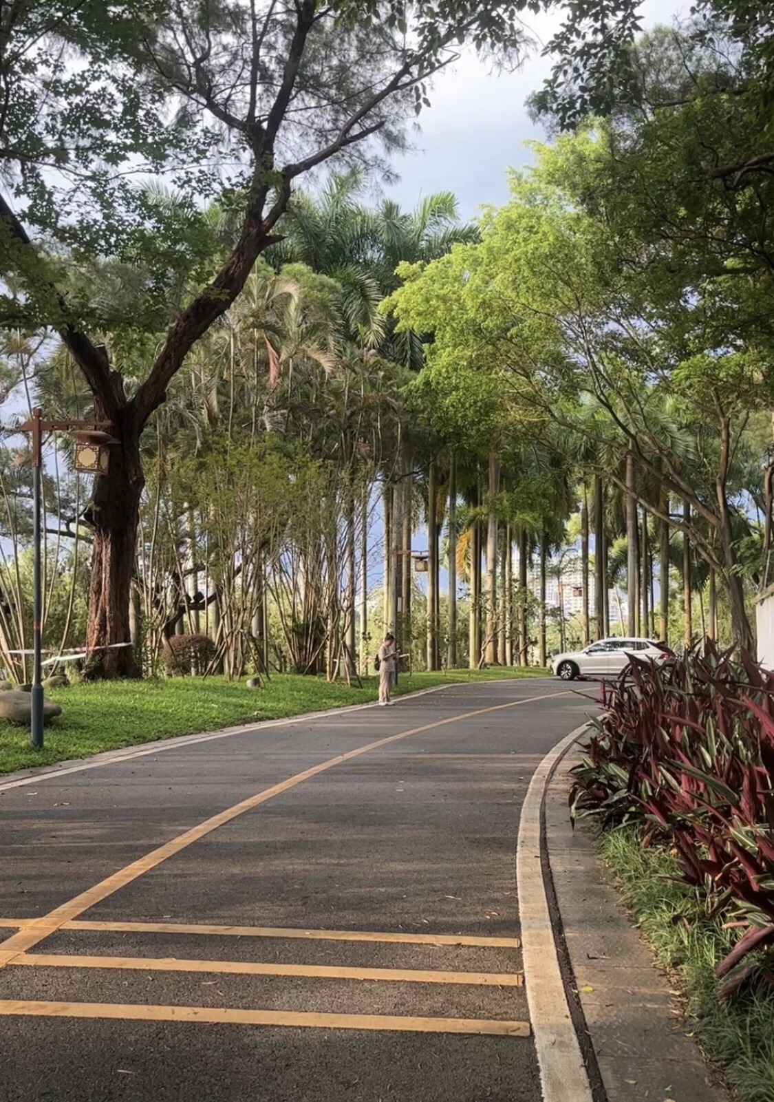 河南岸公园旅行图片 2