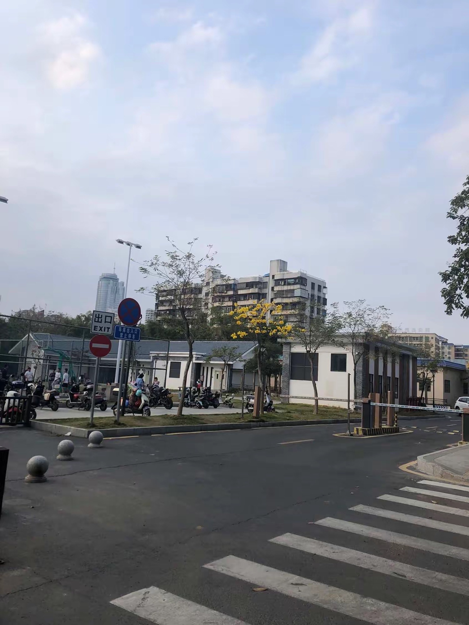 河南岸公园旅行图片 2