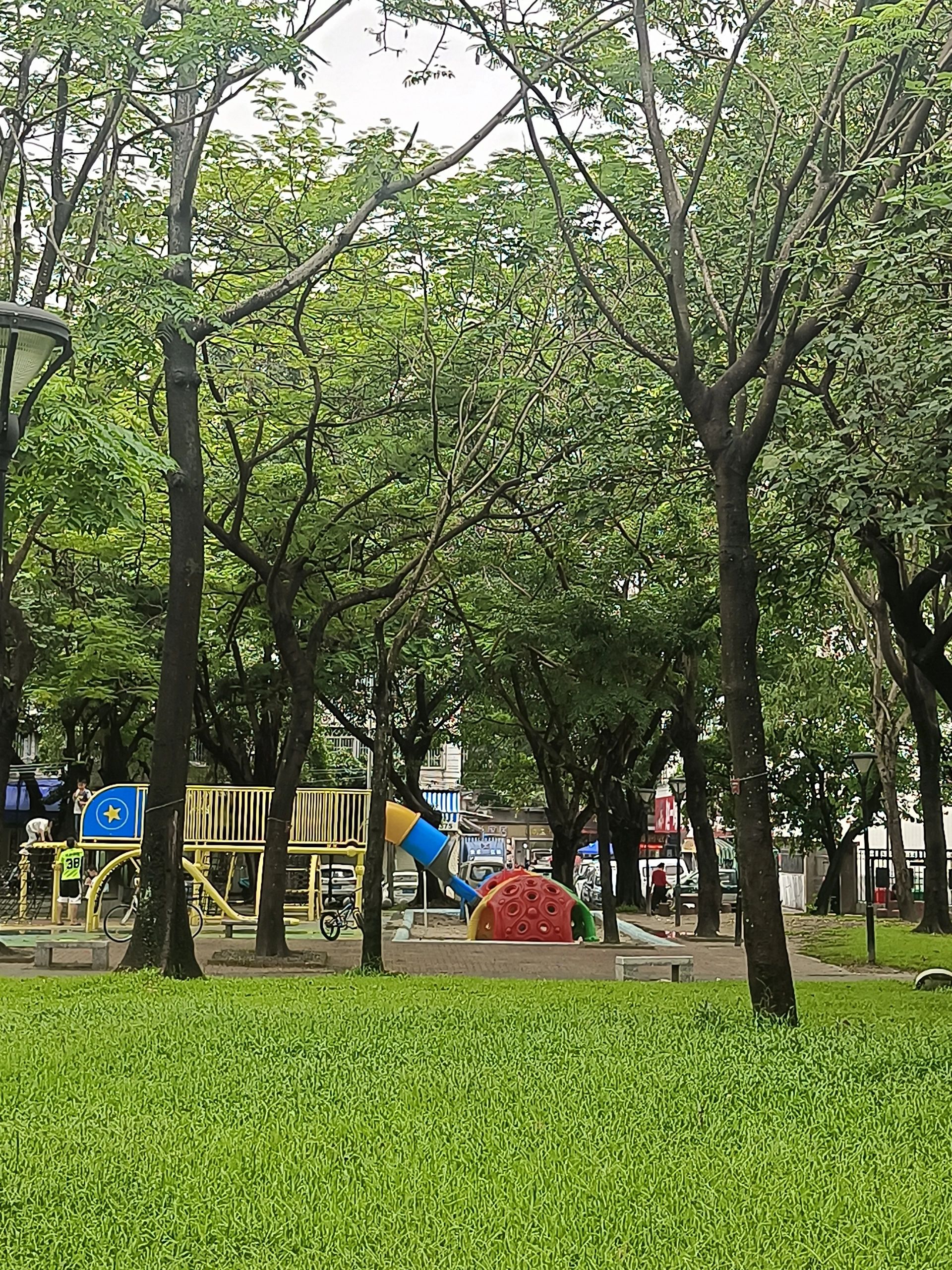 河南岸公园旅行图片 2