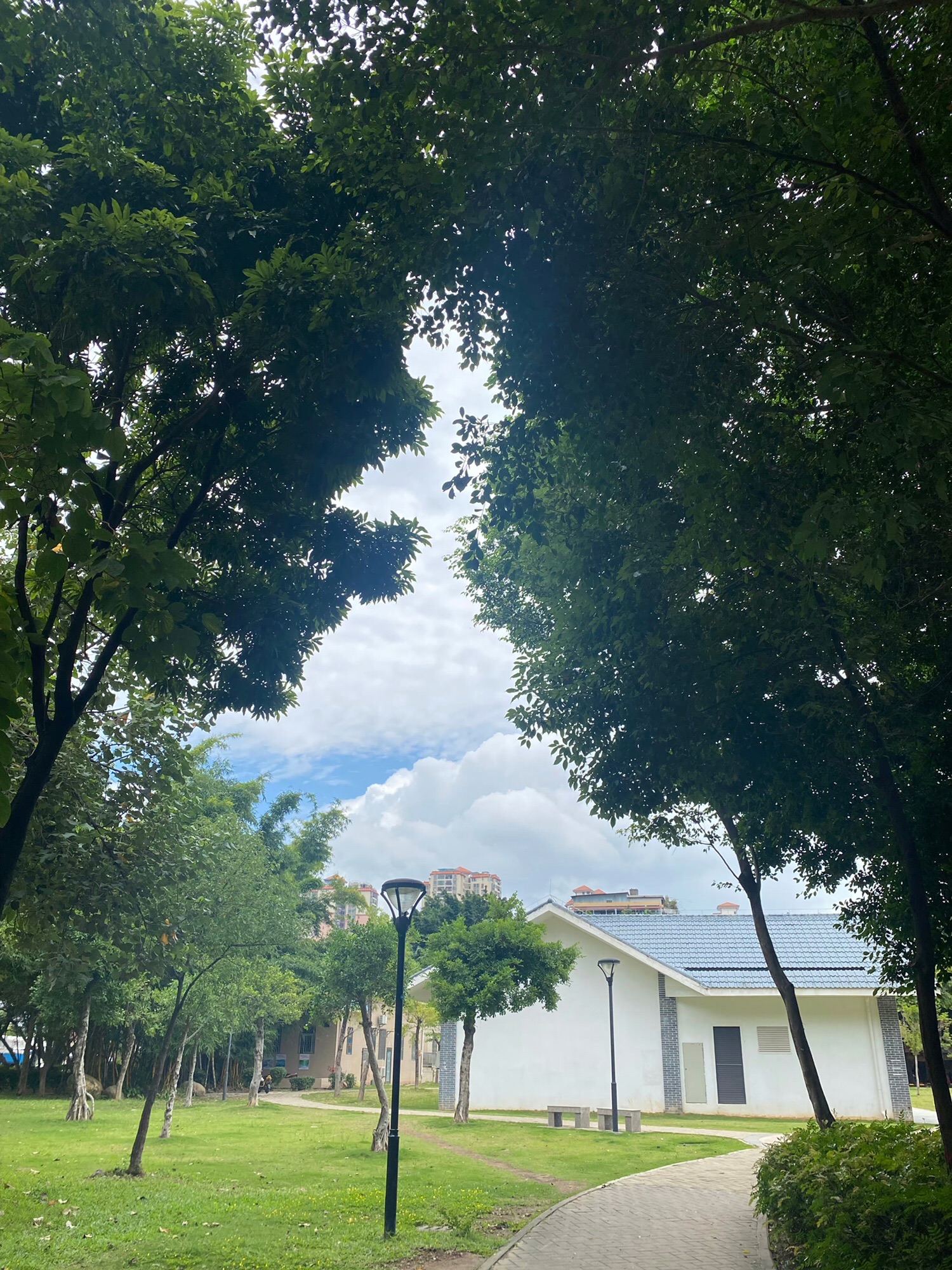 河南岸公园旅行图片 3
