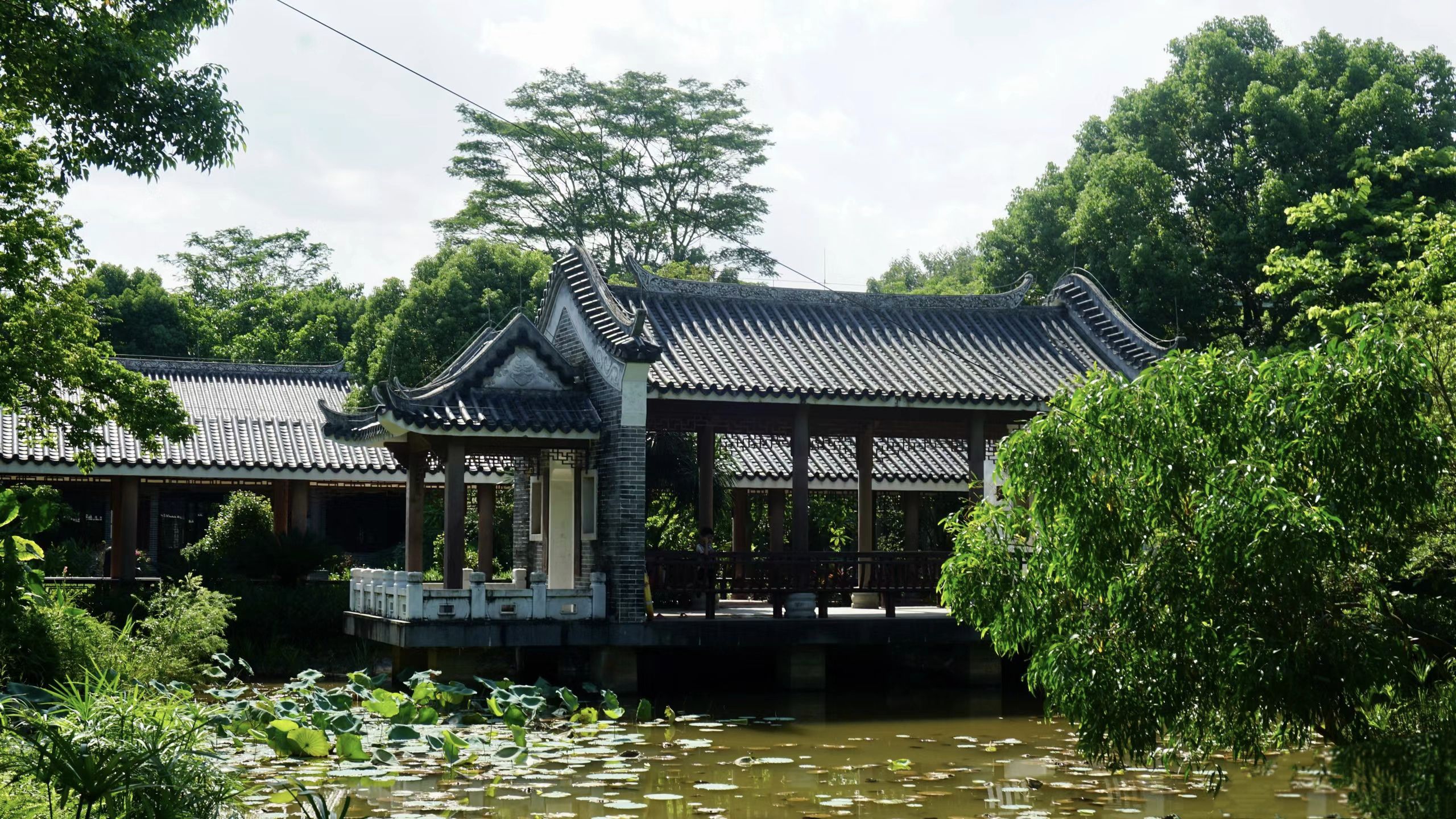 大亚湾红树林城市湿地公园旅行图片 3
