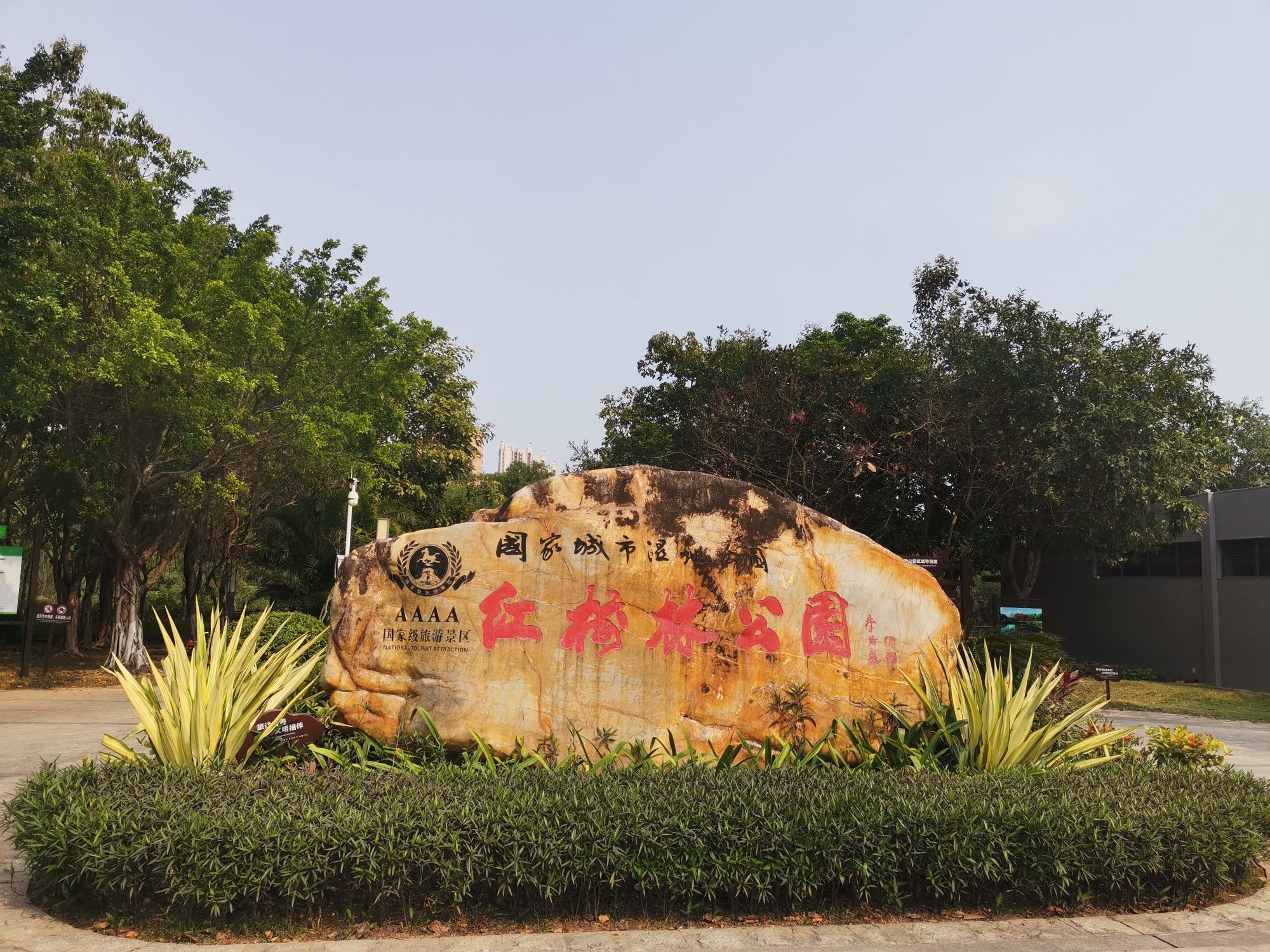 大亚湾红树林城市湿地公园旅行图片 1